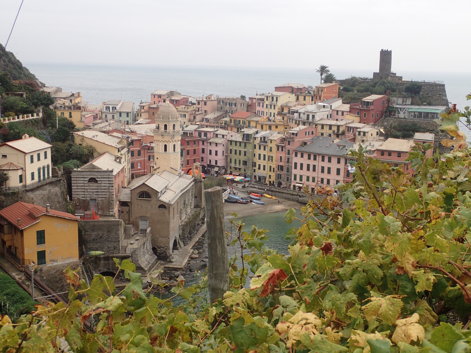 placeholder image-sq