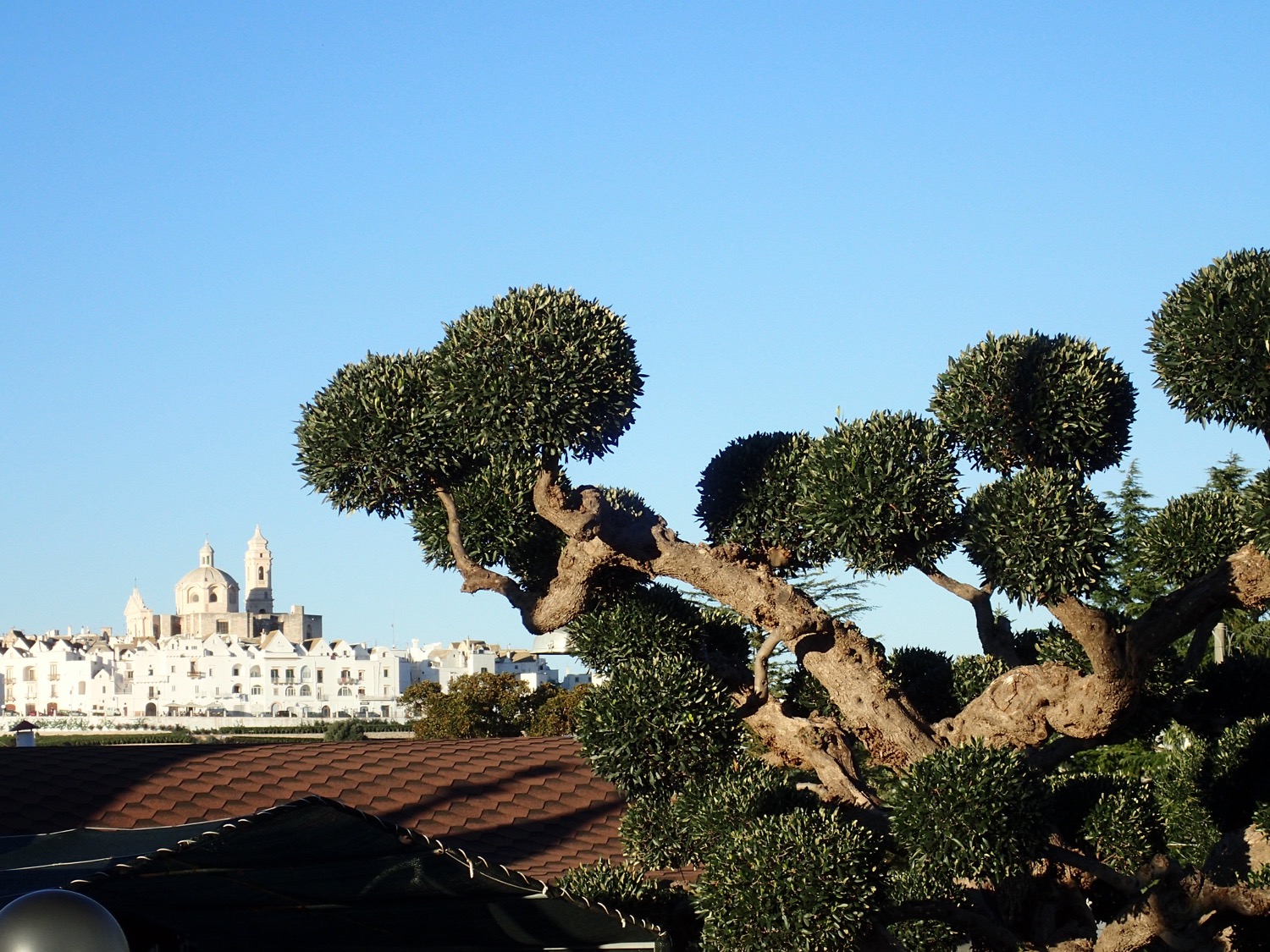 placeholder image-sq