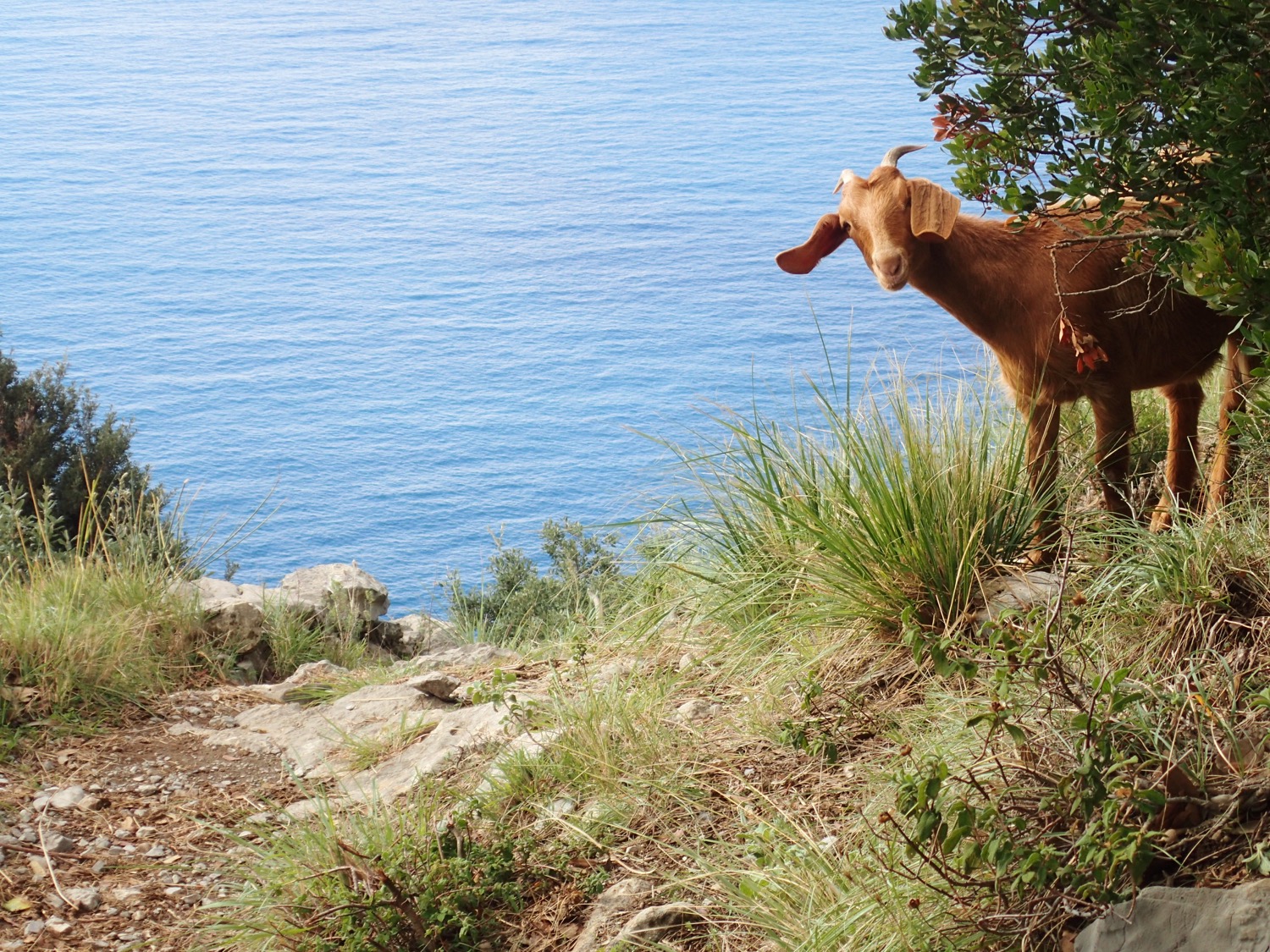 placeholder image-sq