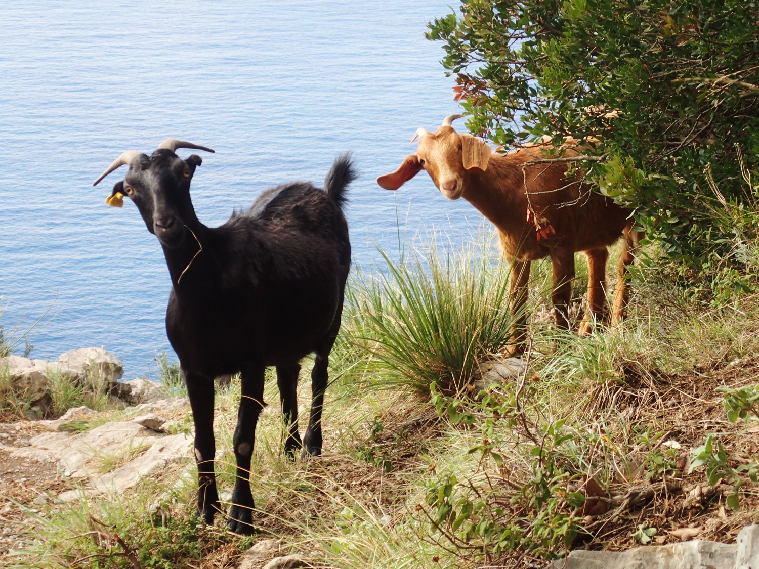 placeholder image-sq