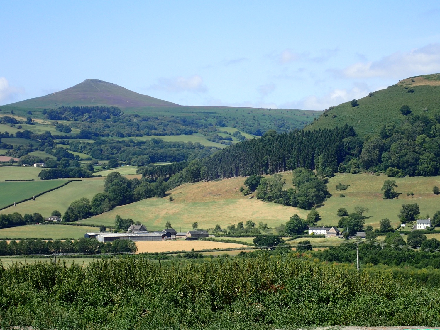 placeholder image-sq