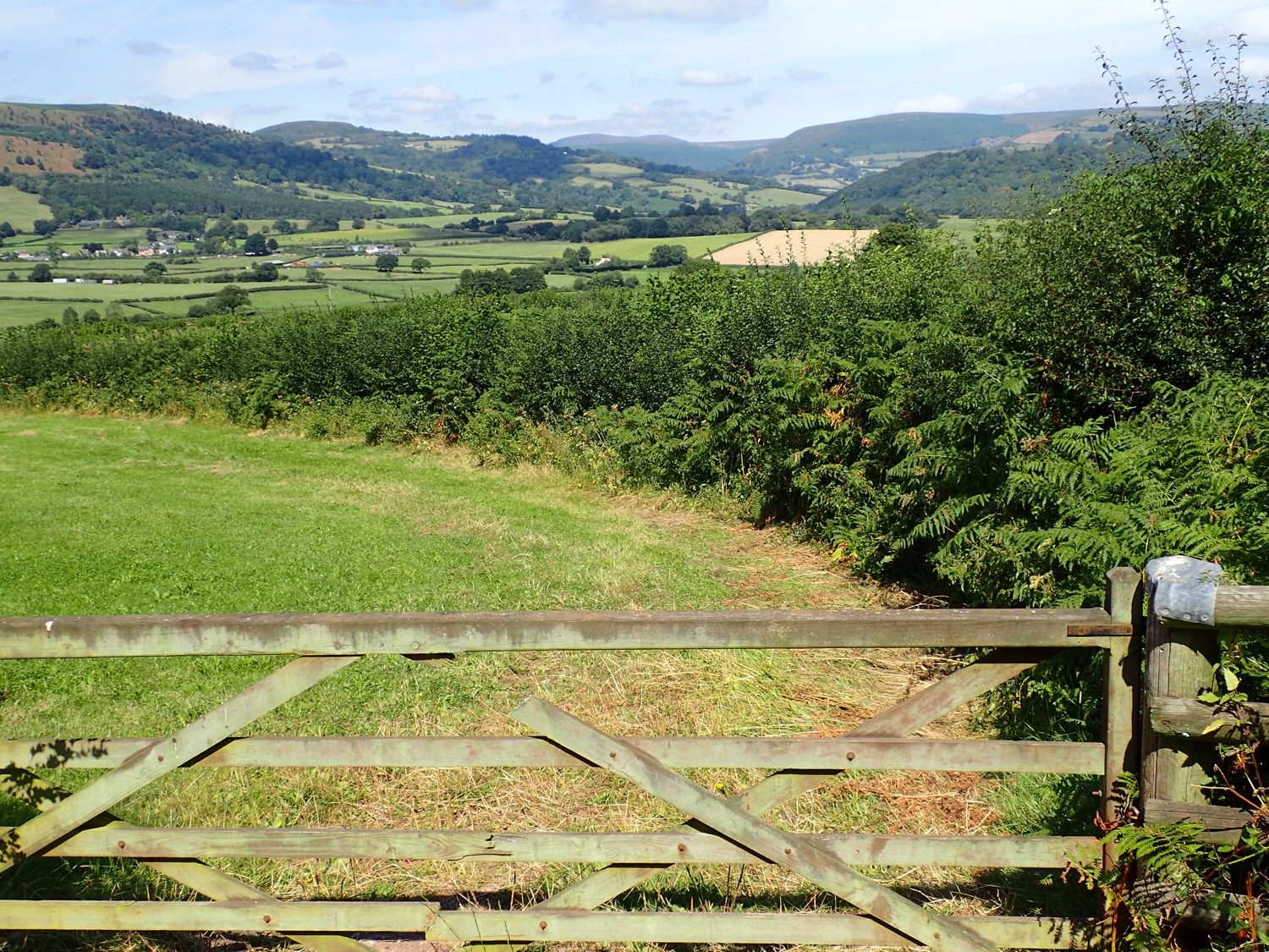 placeholder image-sq