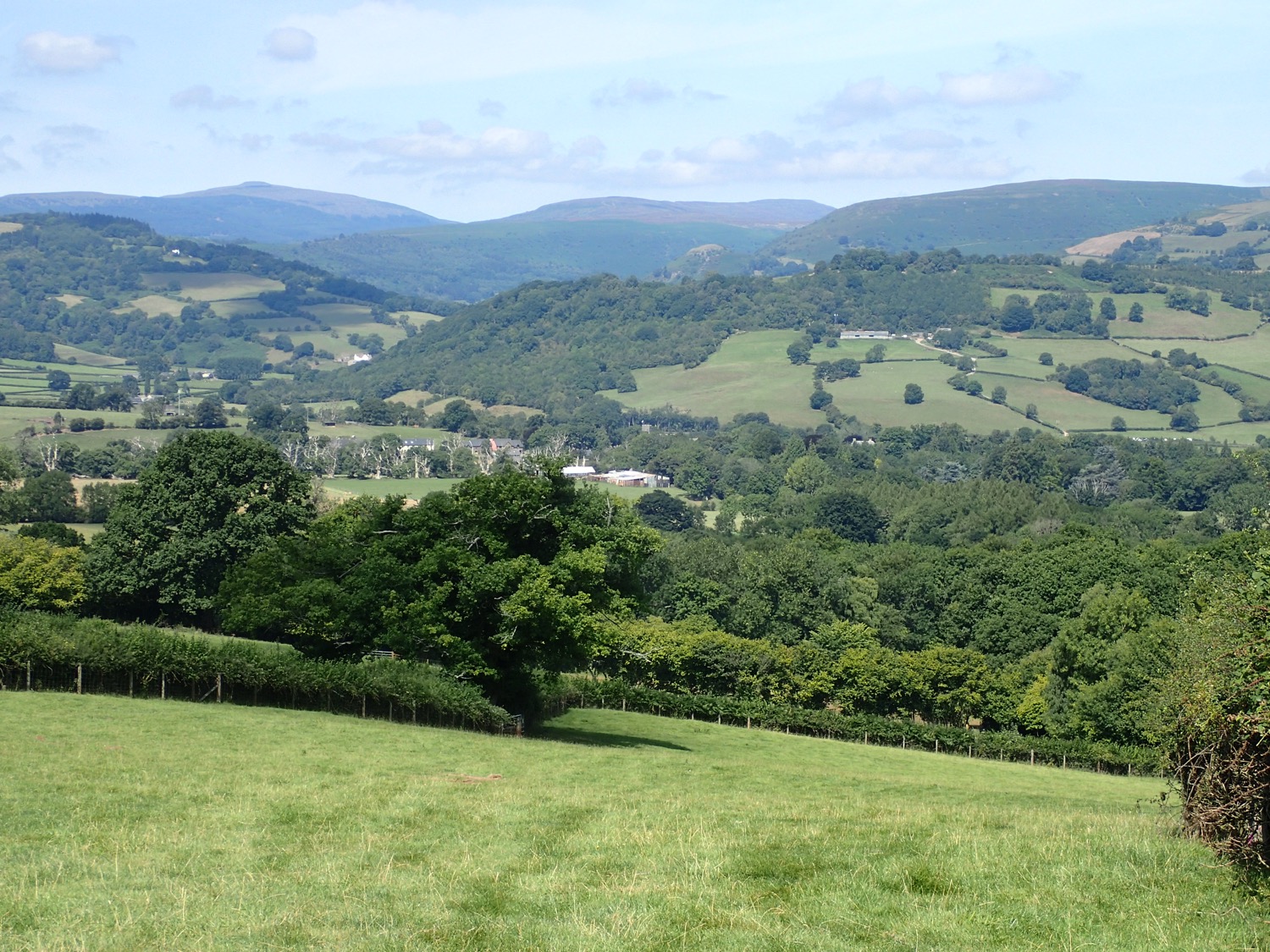 placeholder image-sq