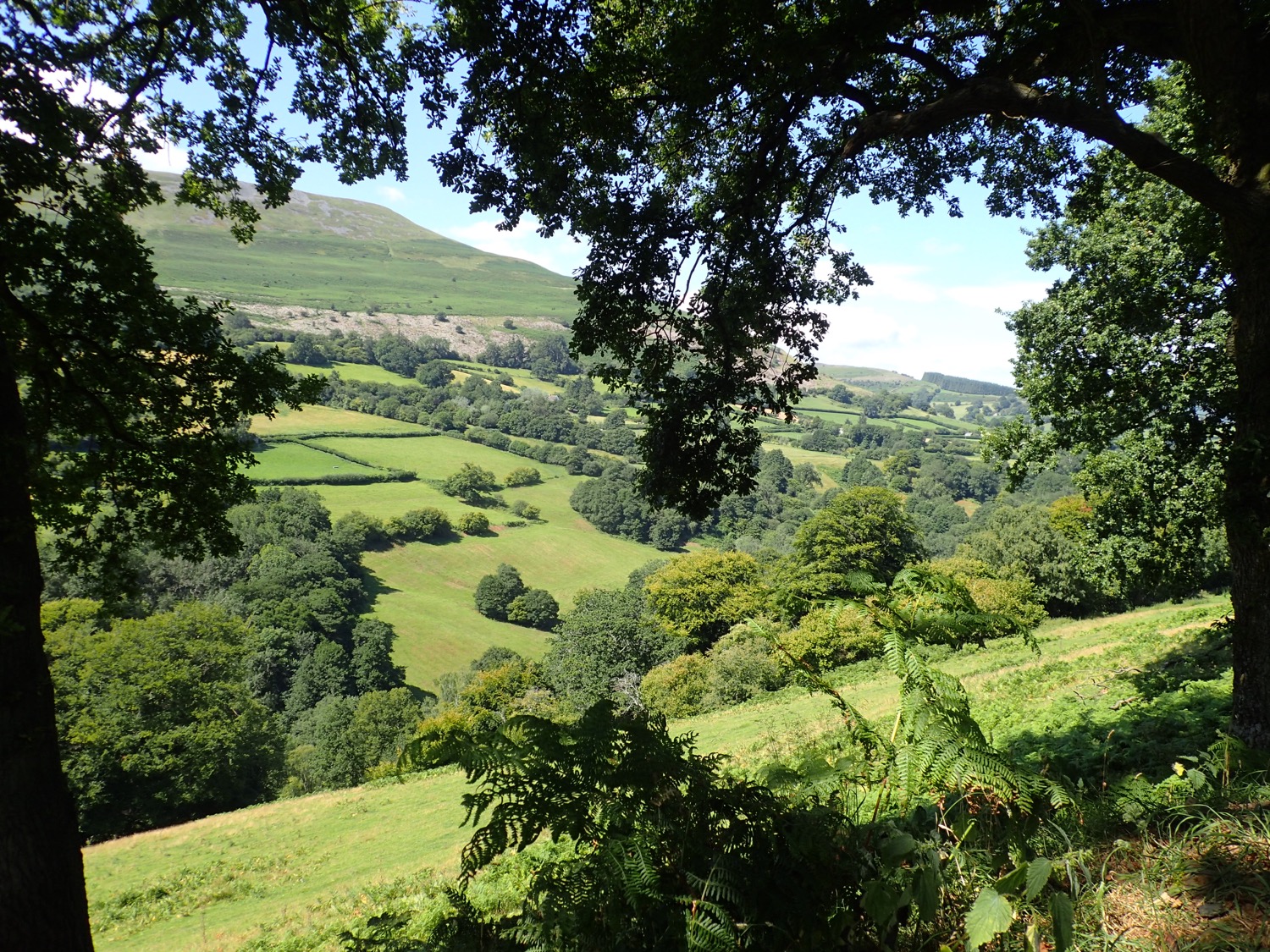 placeholder image-sq