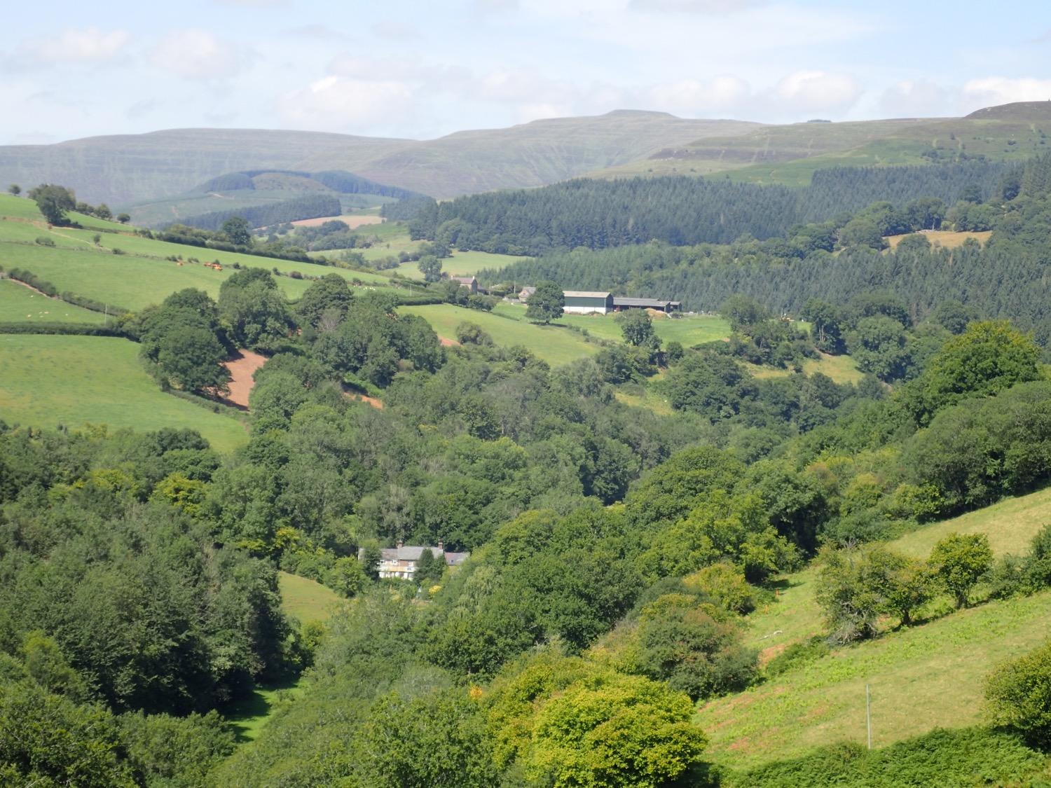 placeholder image-sq