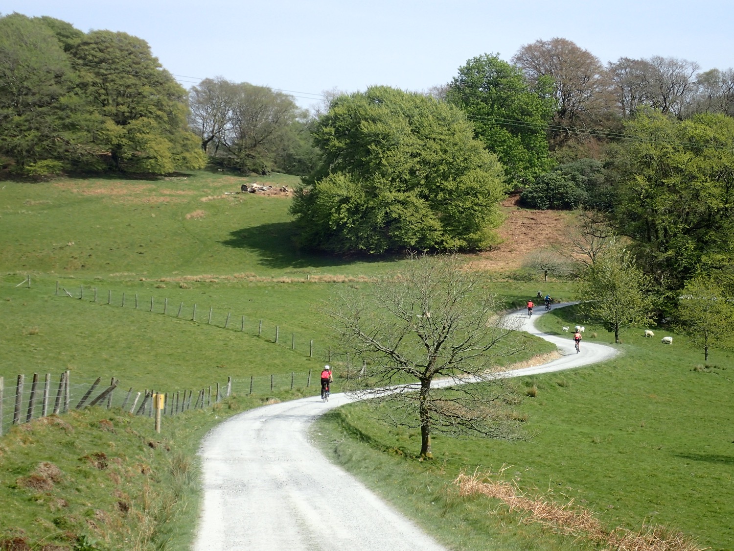 placeholder image-sq