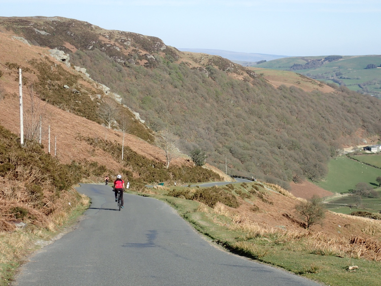 placeholder image-sq