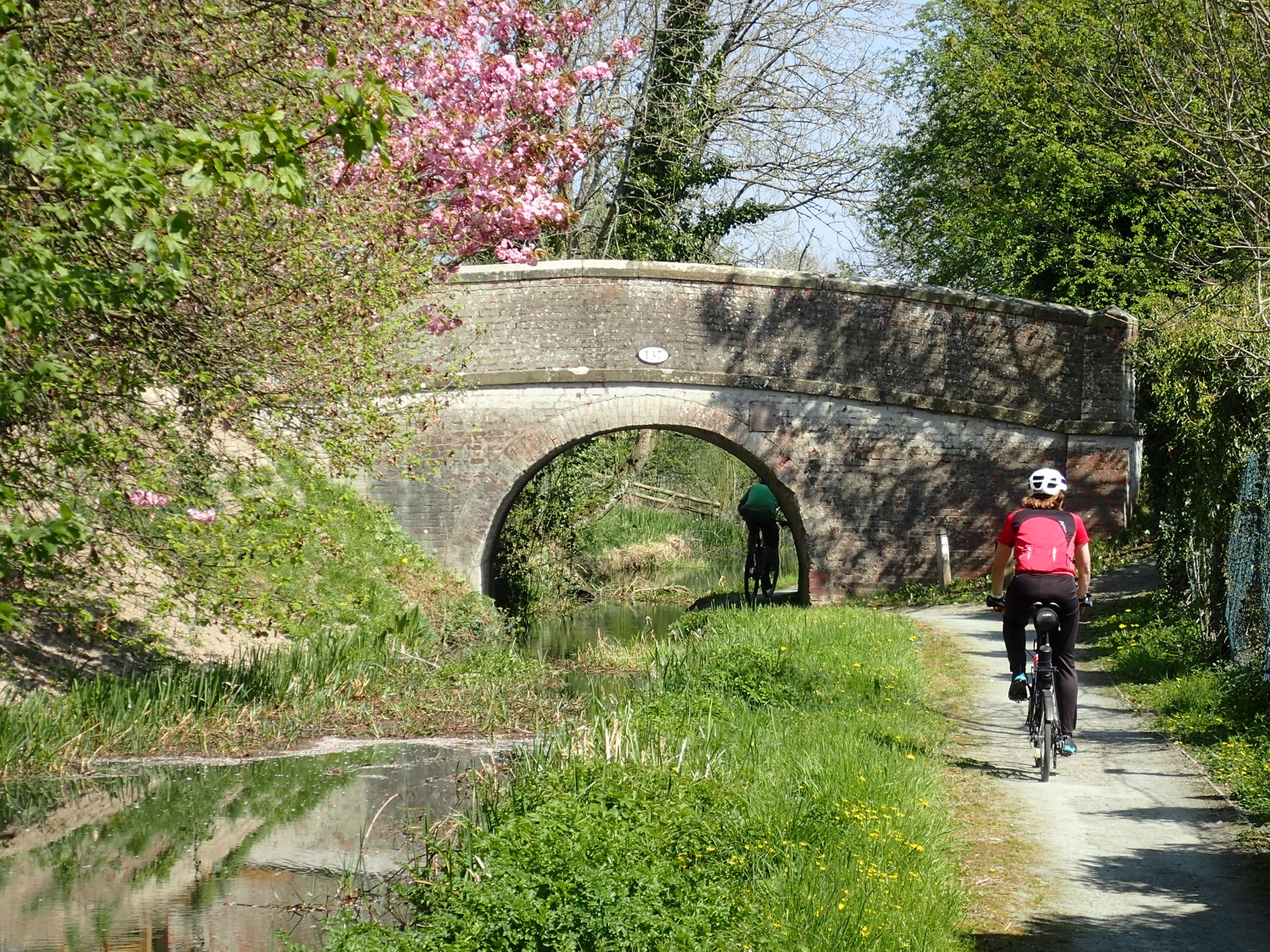 placeholder image-sq