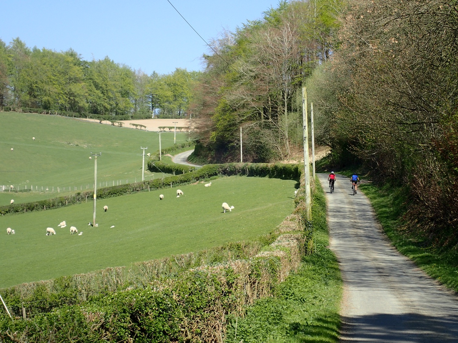 placeholder image-sq