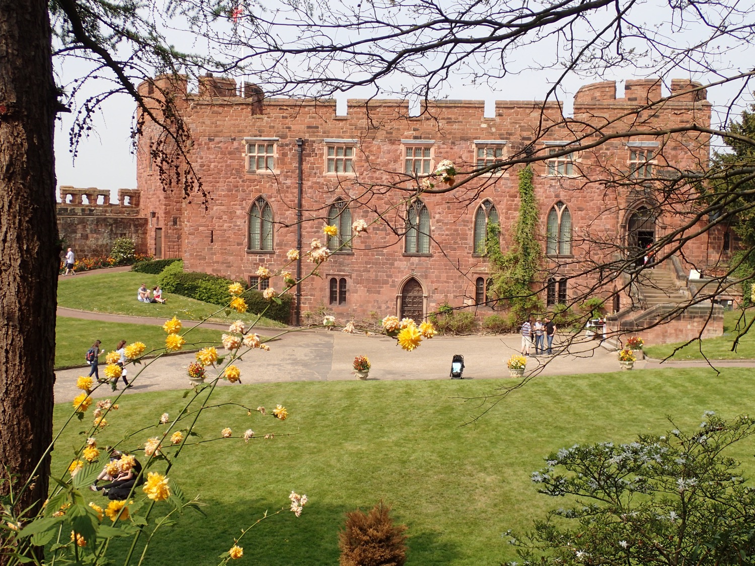 placeholder image-sq