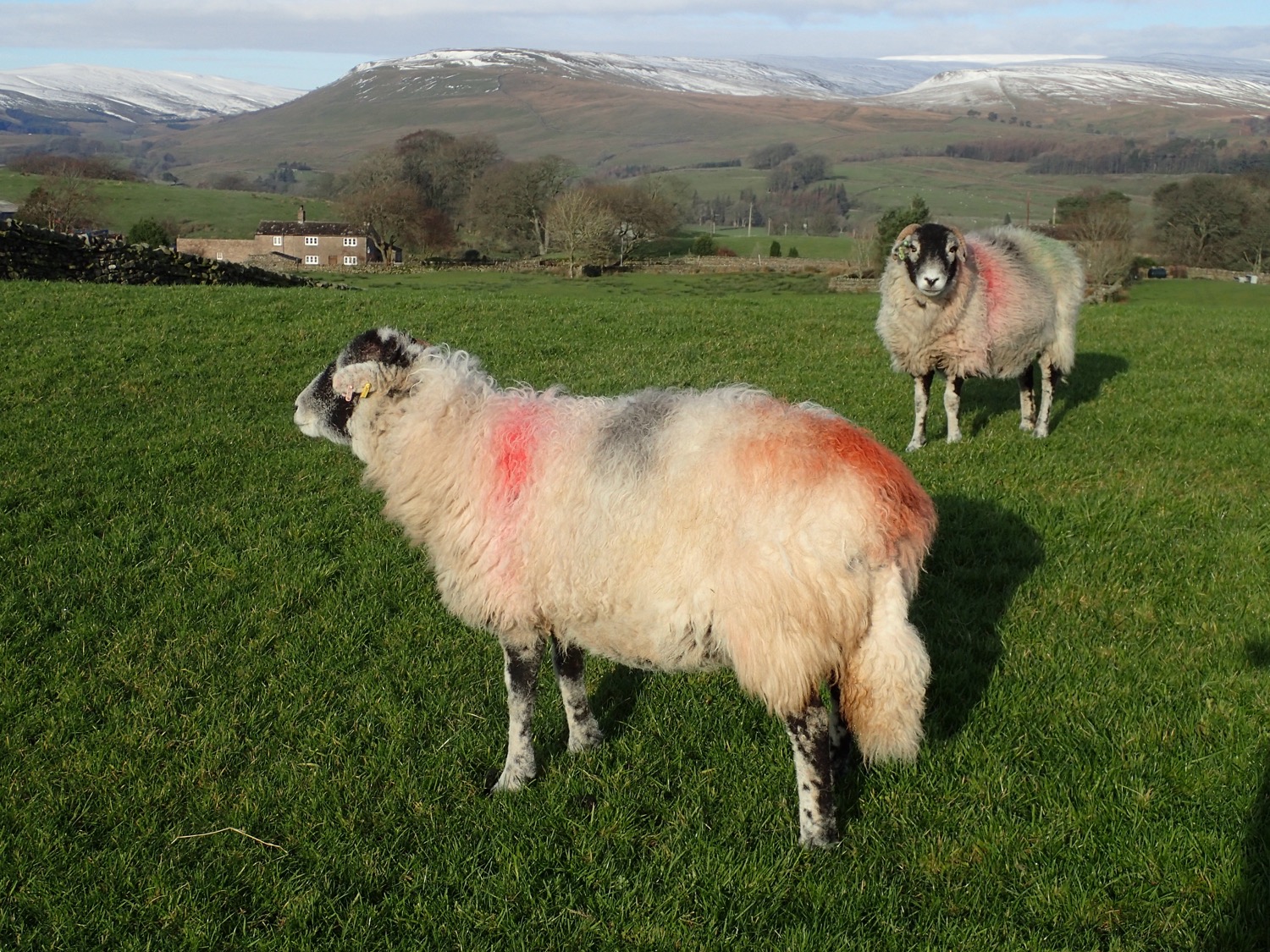 placeholder image-sq