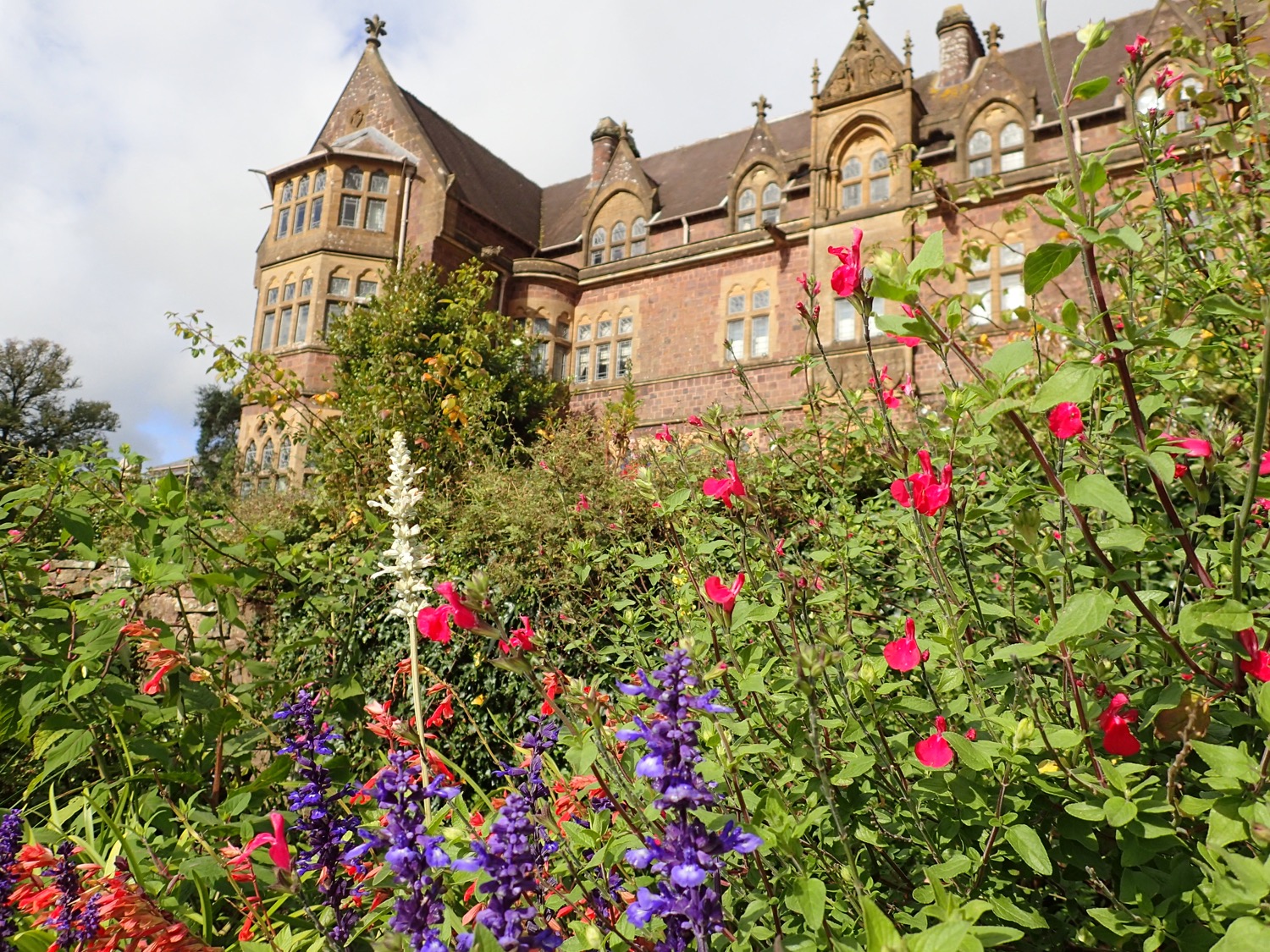 placeholder image-sq