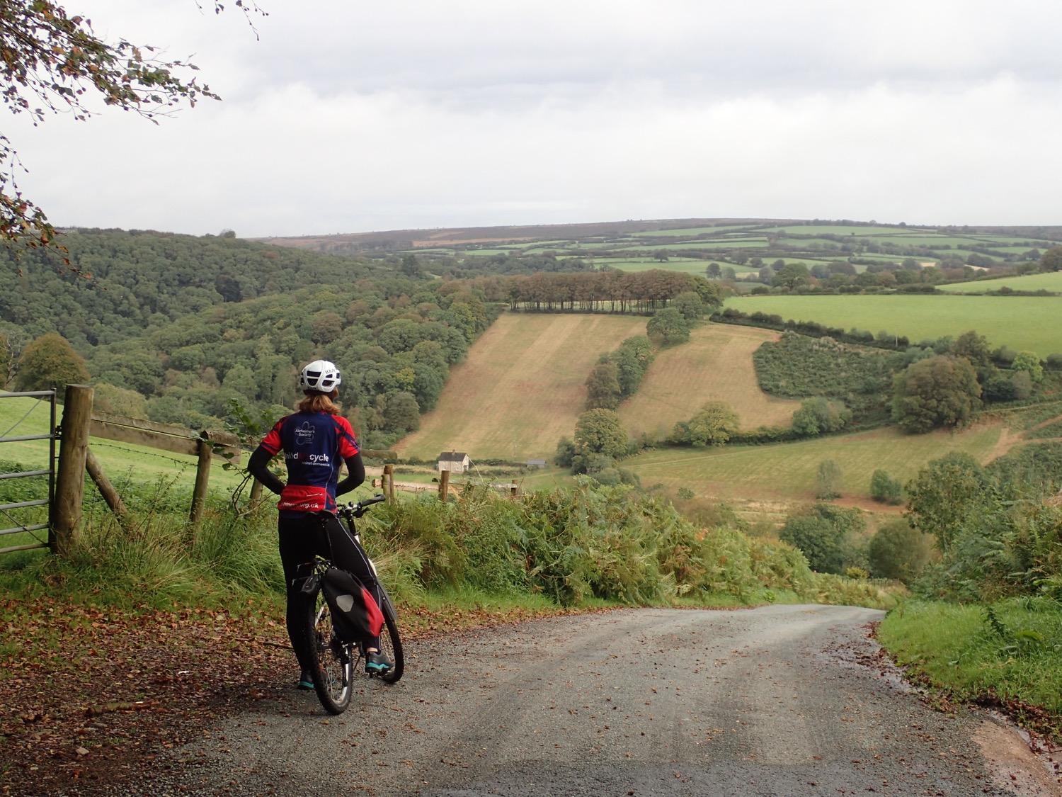 placeholder image-sq