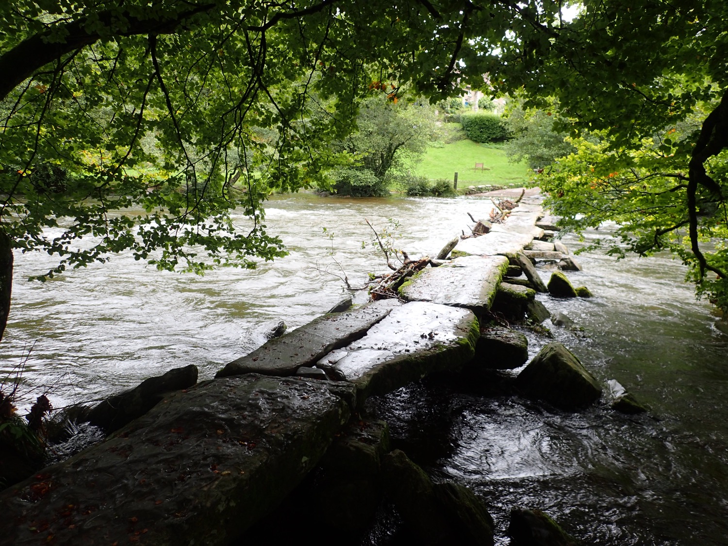 placeholder image-sq