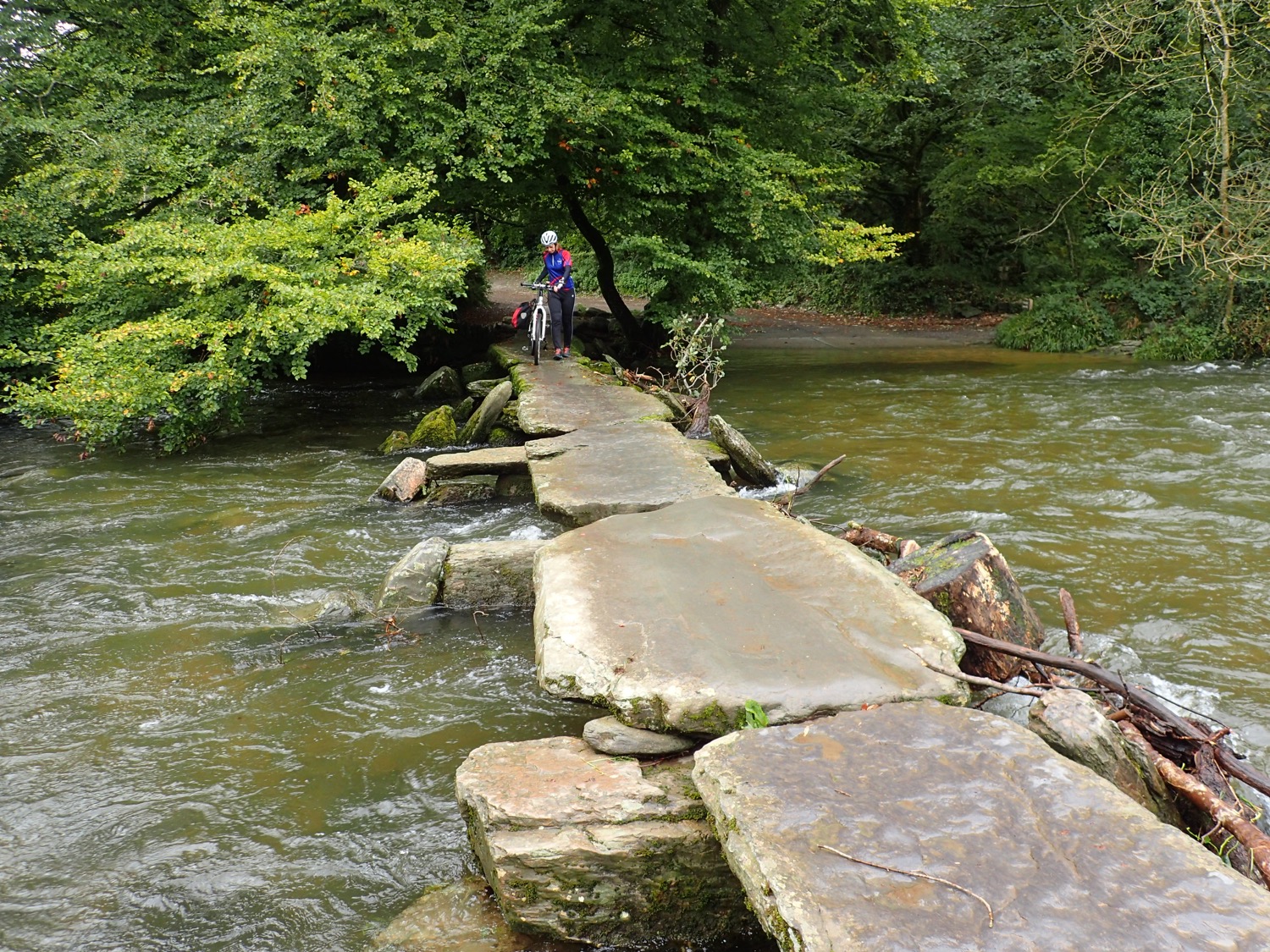 placeholder image-sq