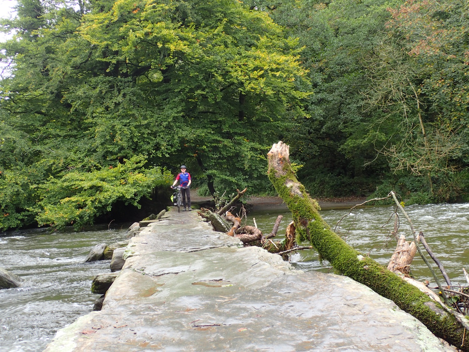 placeholder image-sq