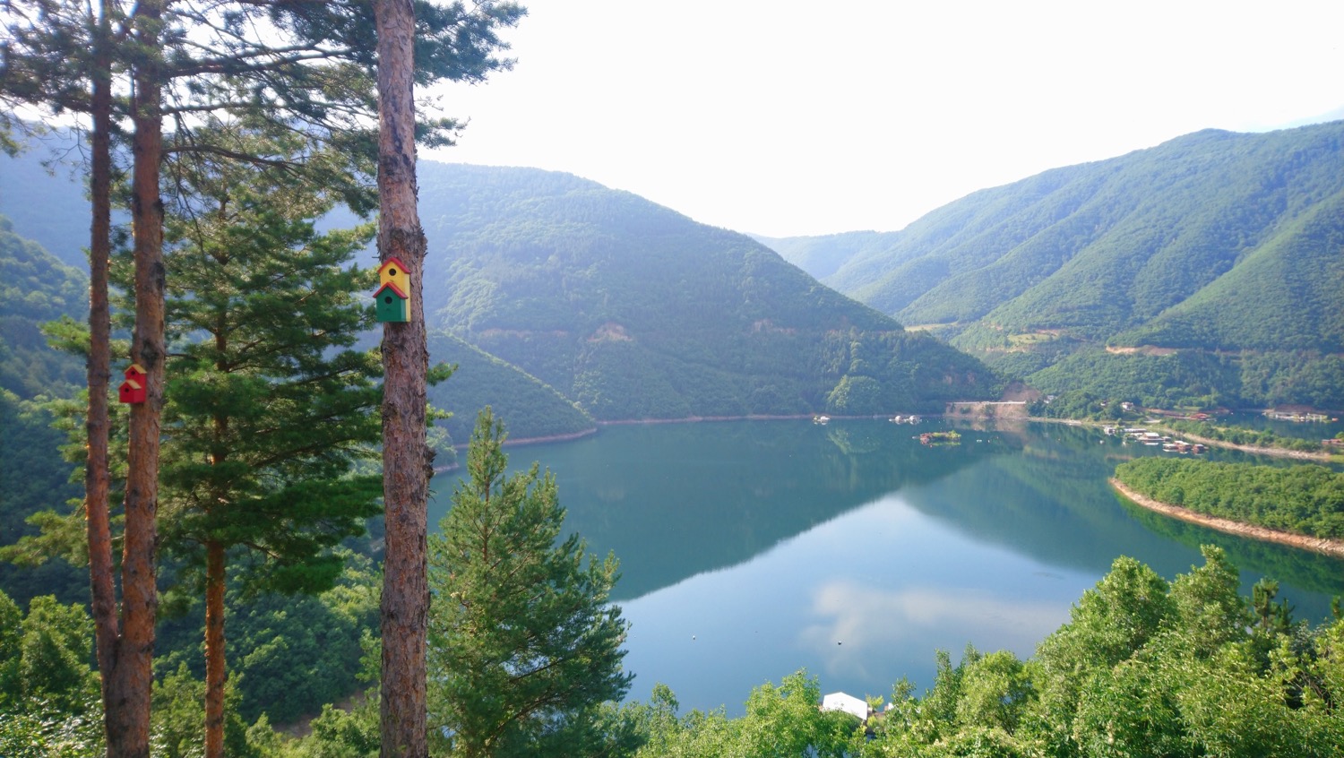 placeholder image-sq