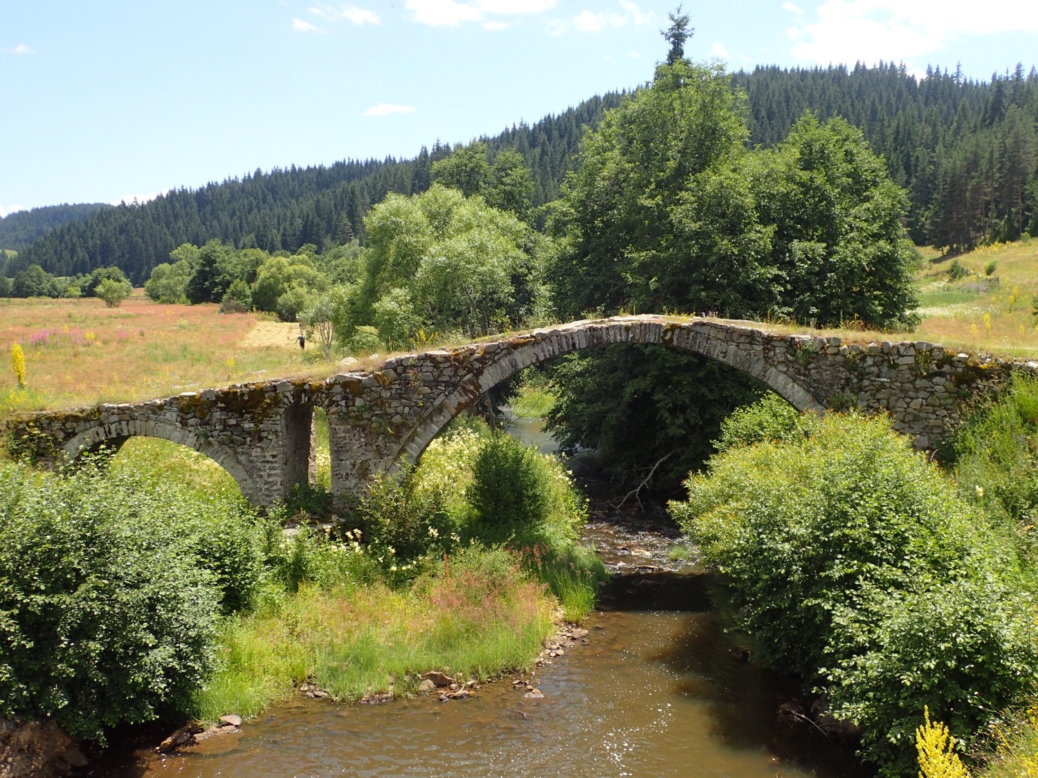 placeholder image-sq