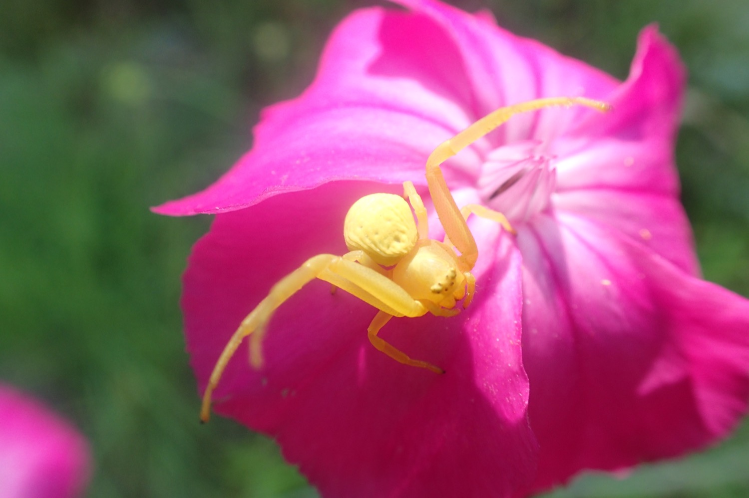 placeholder image-sq