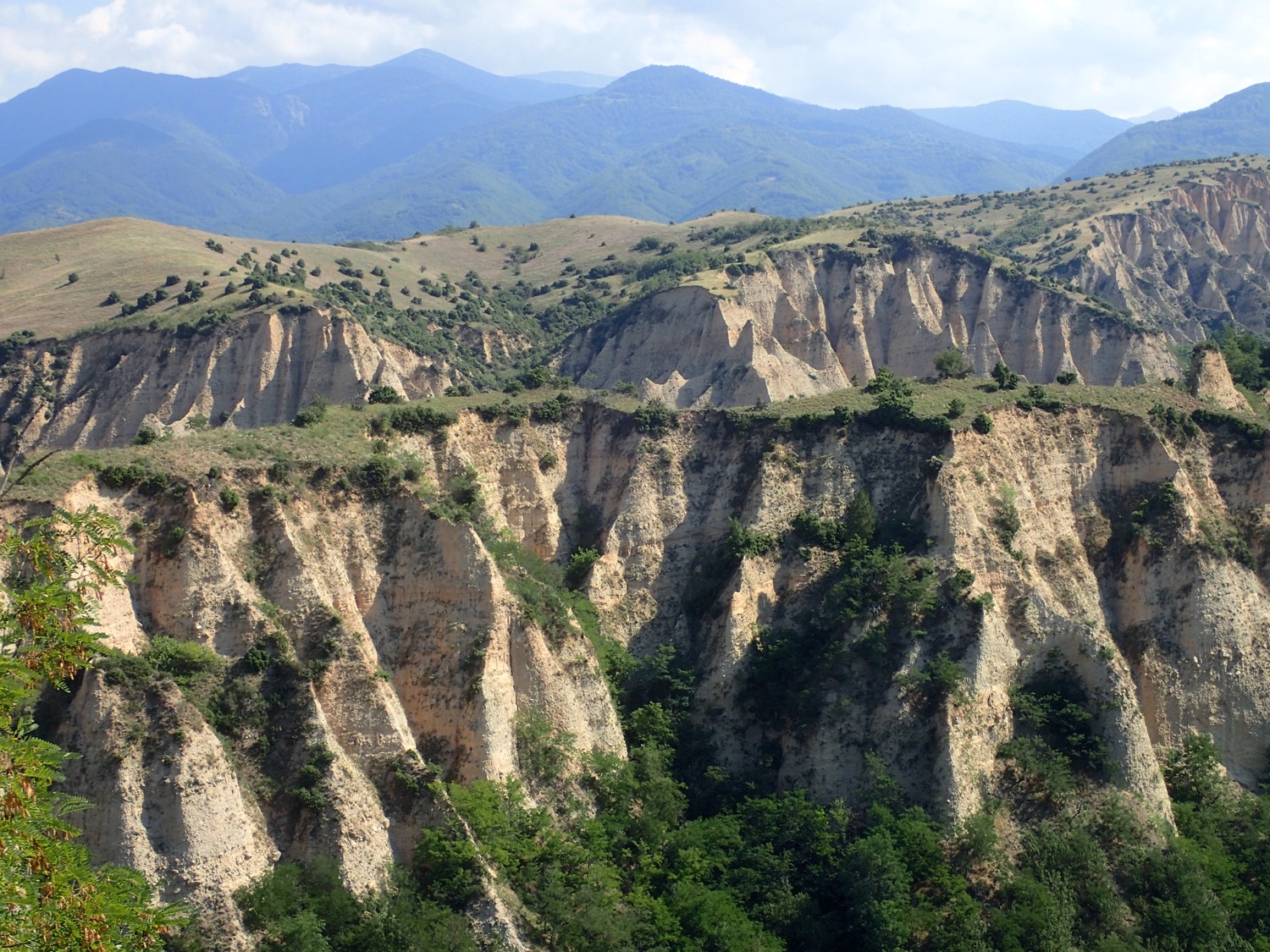 placeholder image-sq