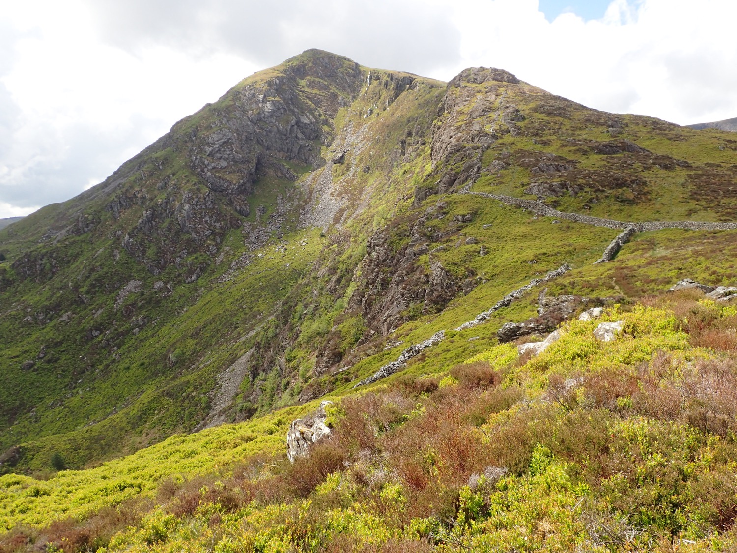 placeholder image-sq