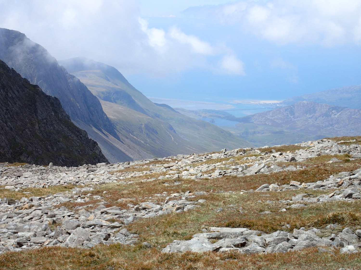 placeholder image-sq