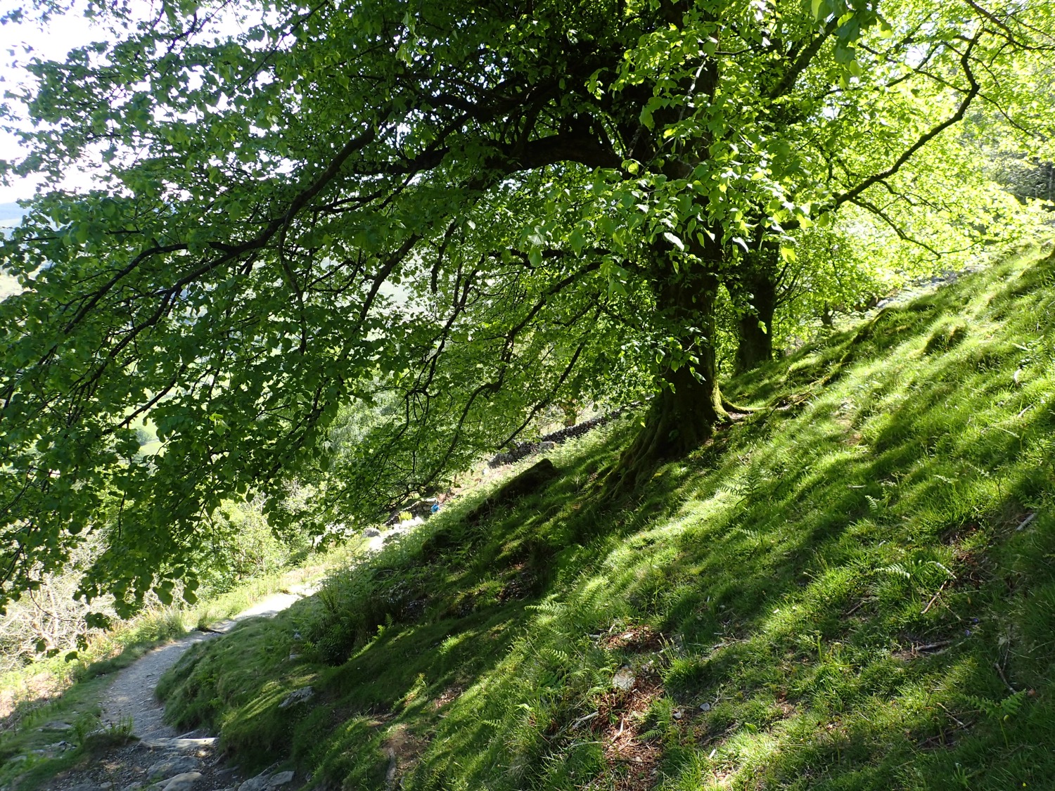 placeholder image-sq