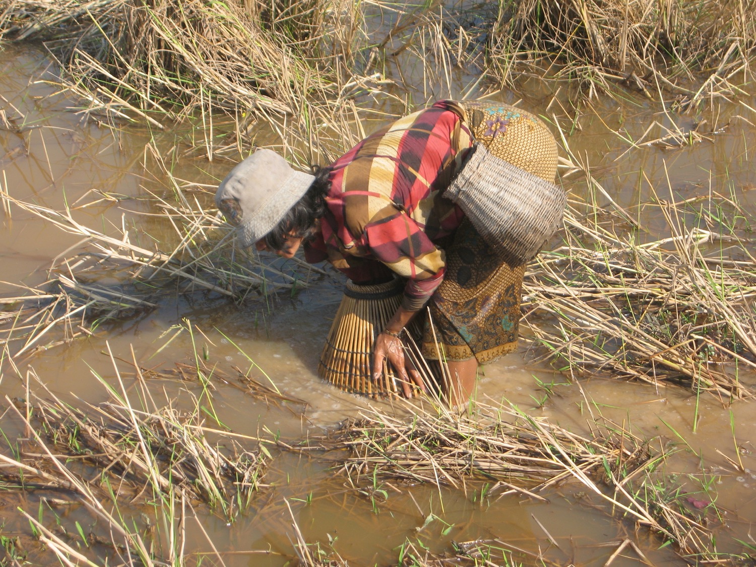 placeholder image-sq