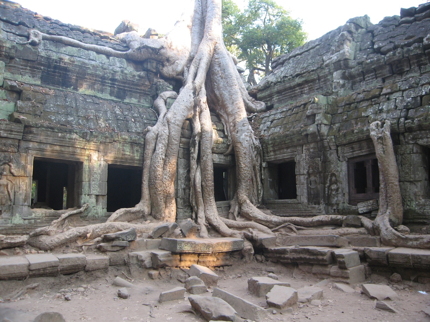 placeholder image-sq