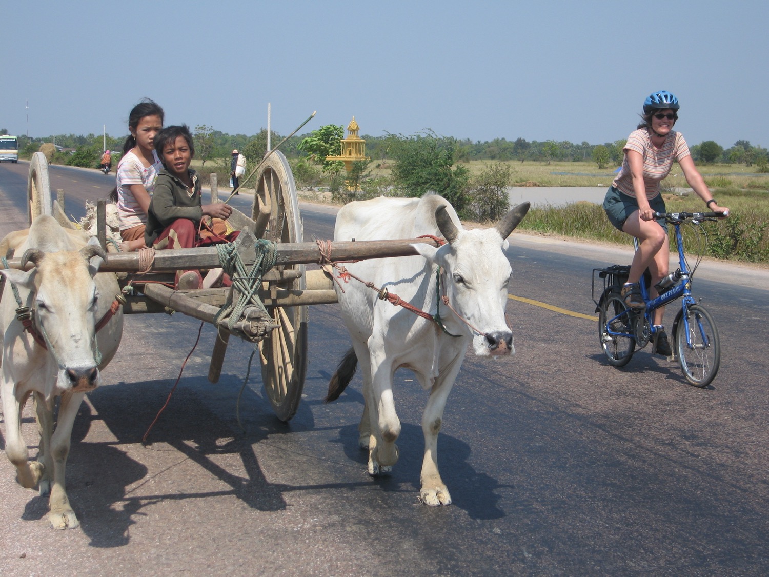 placeholder image-sq