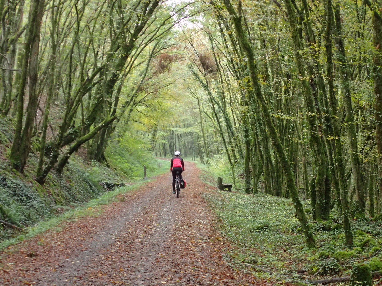 placeholder image-sq