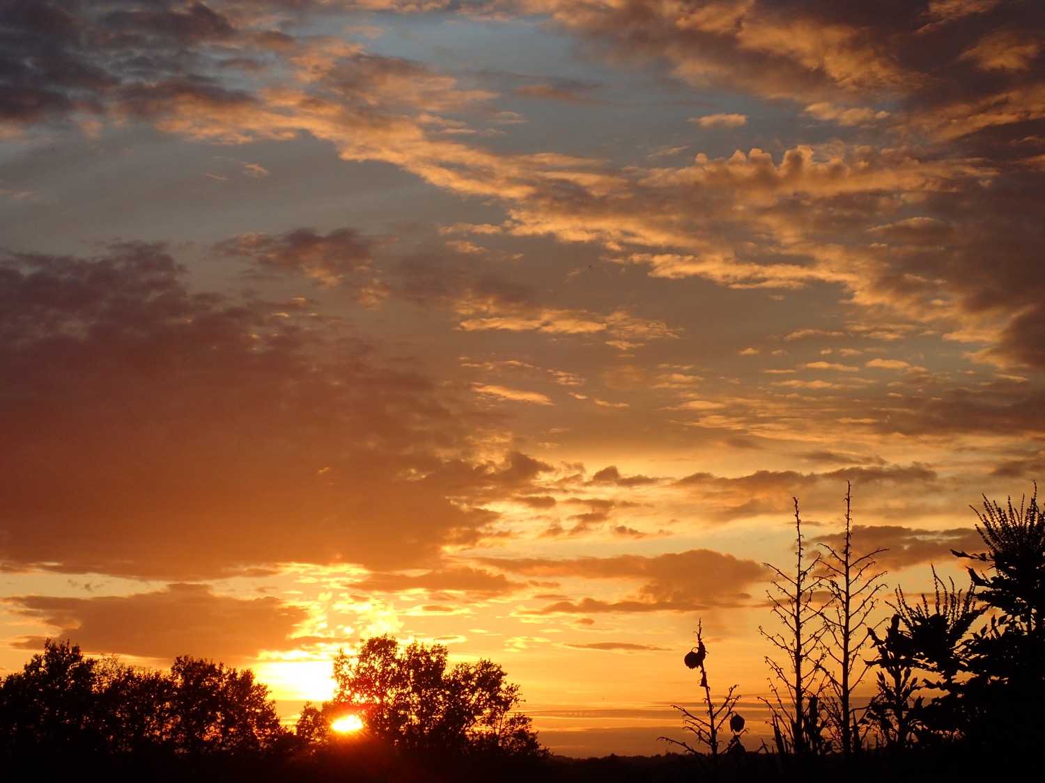 placeholder image-sq