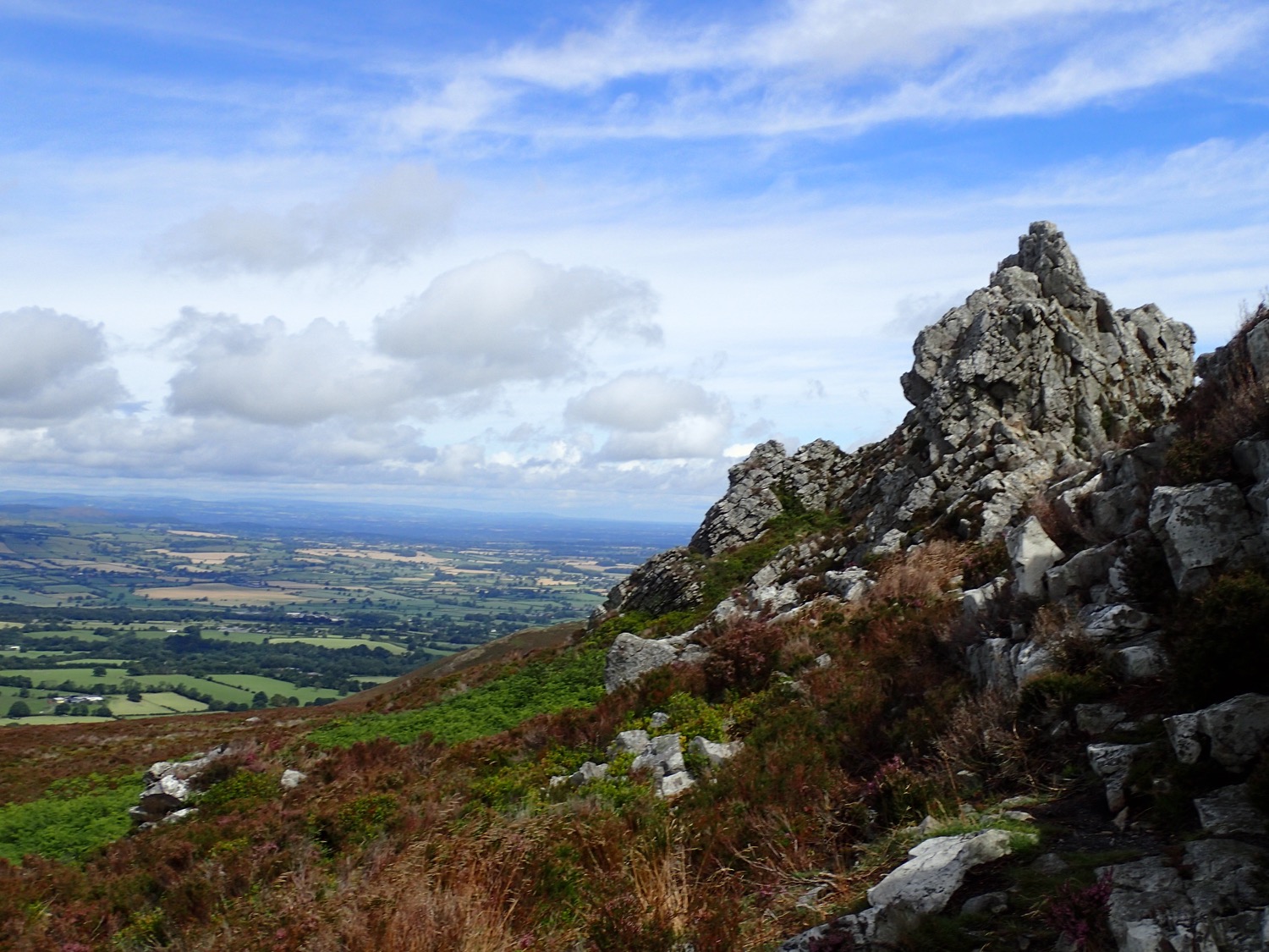 placeholder image-sq