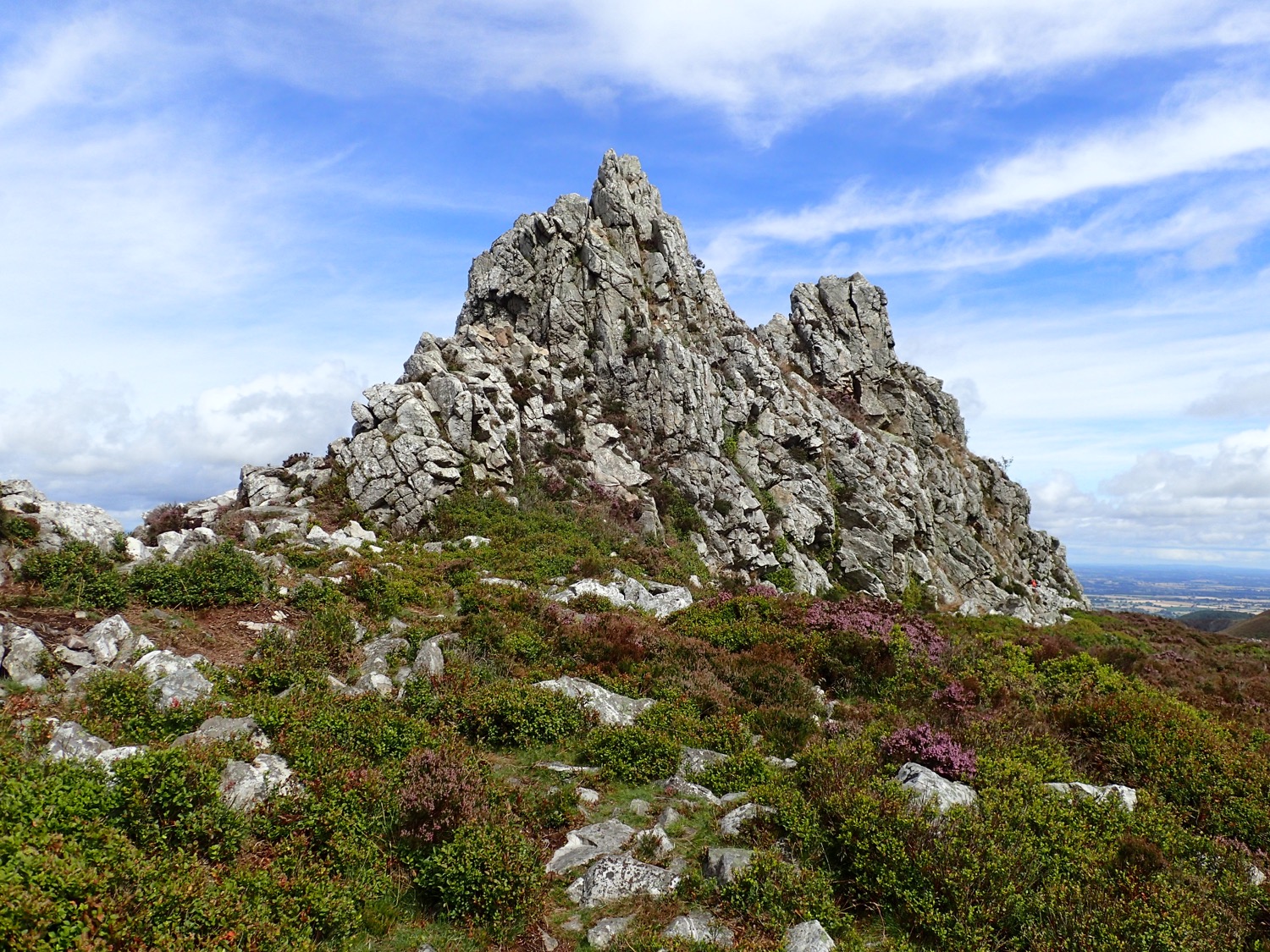 placeholder image-sq