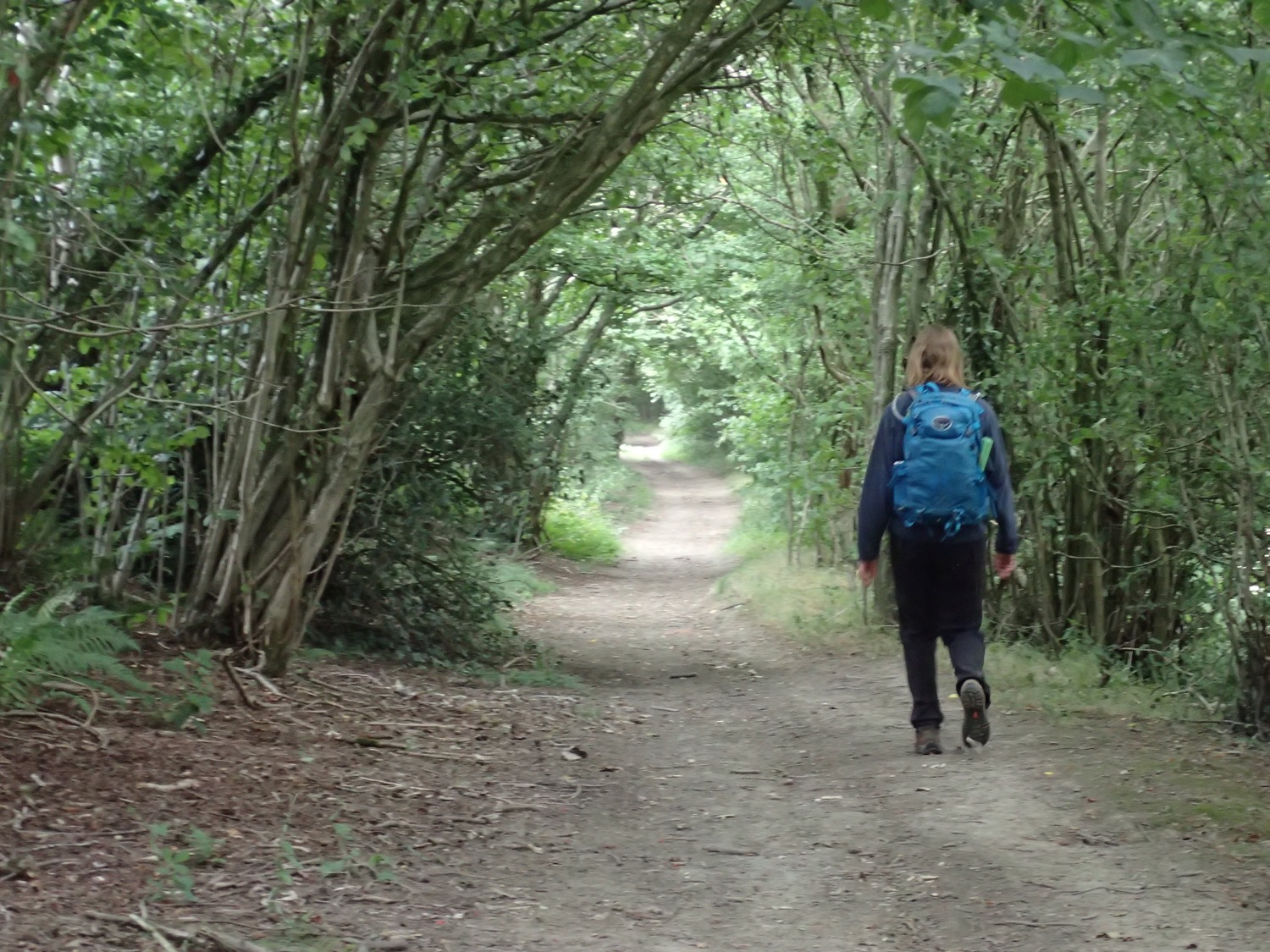 placeholder image-sq