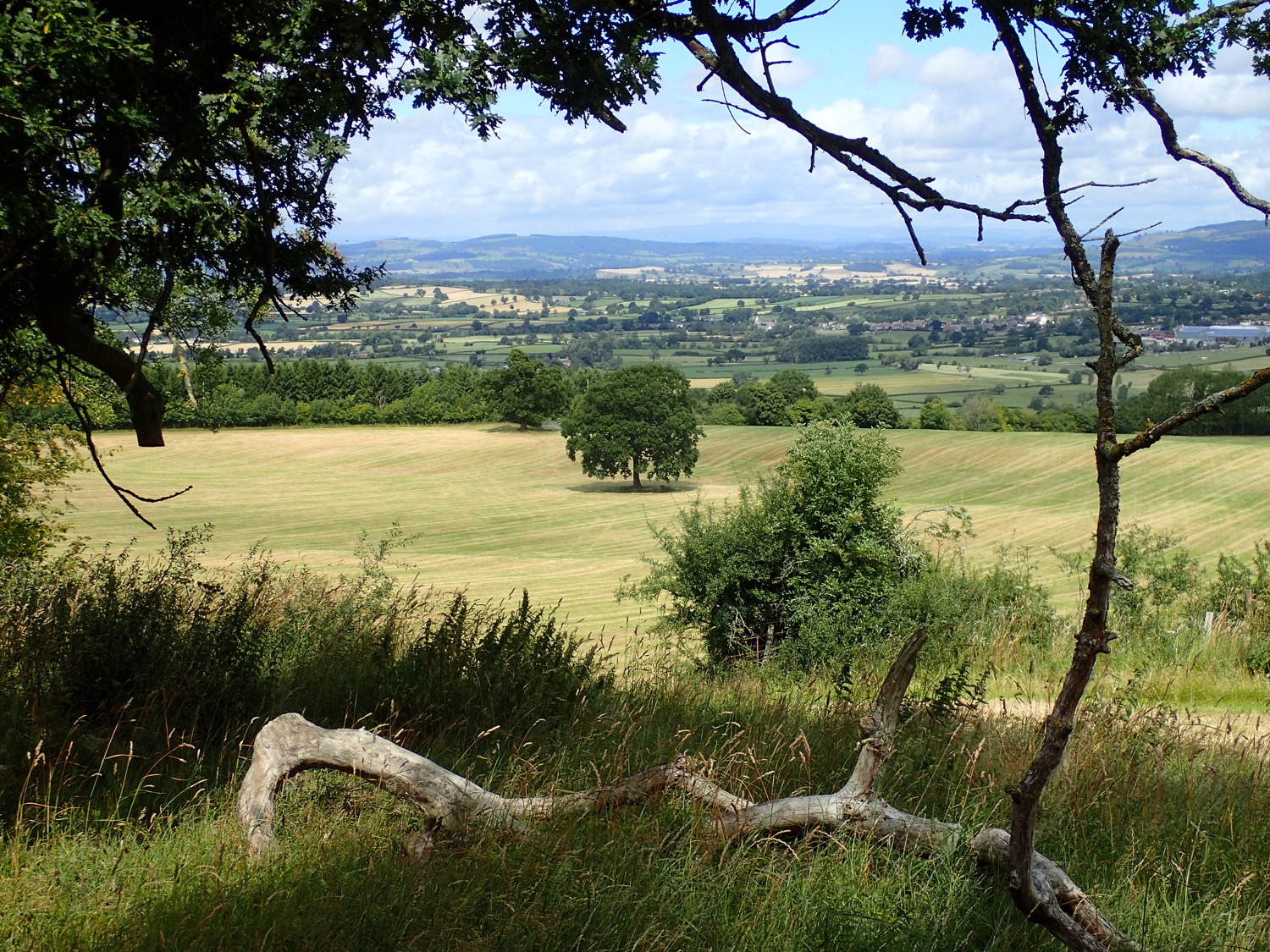 placeholder image-sq