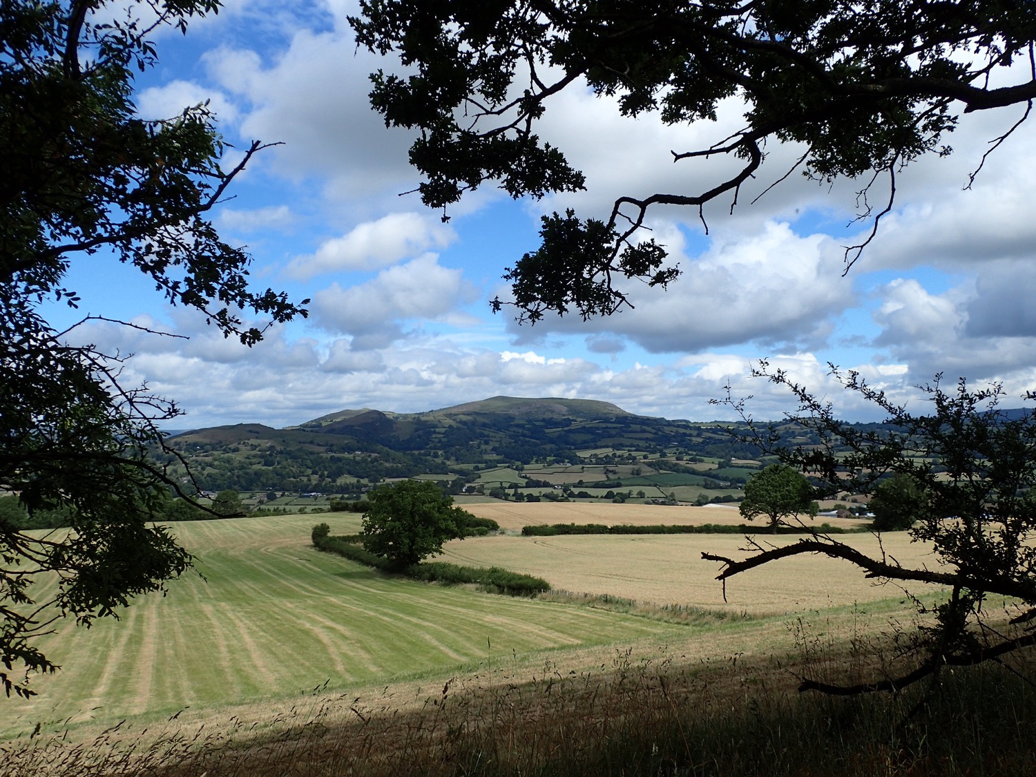 placeholder image-sq