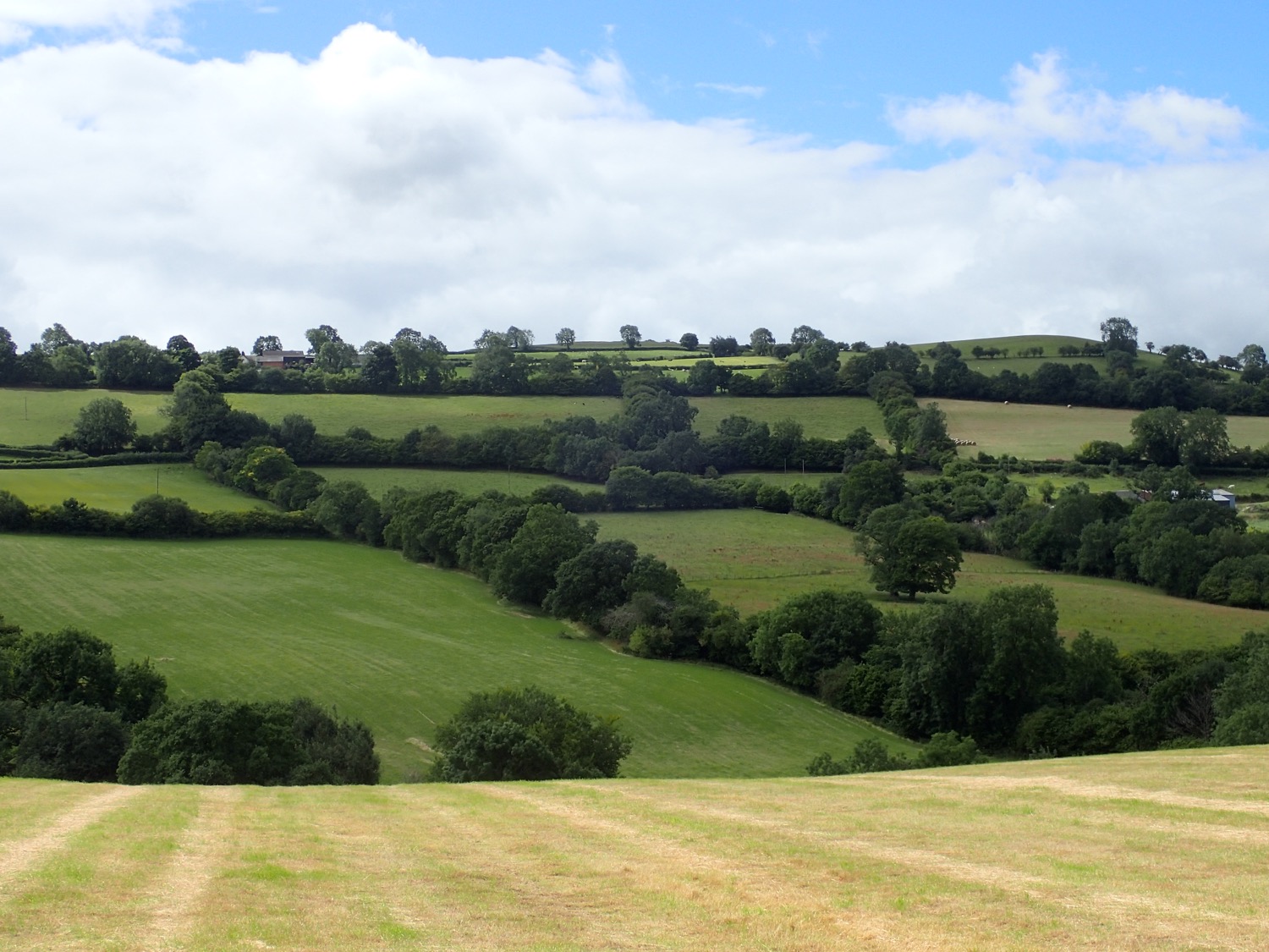 placeholder image-sq