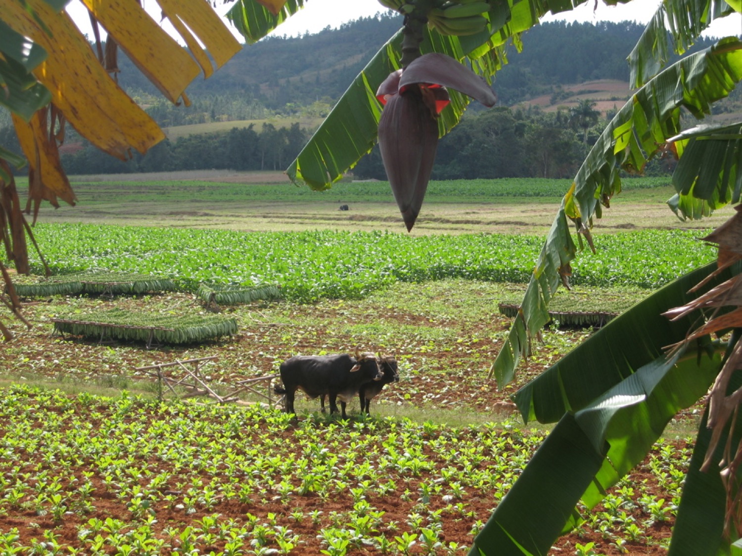 placeholder image-sq