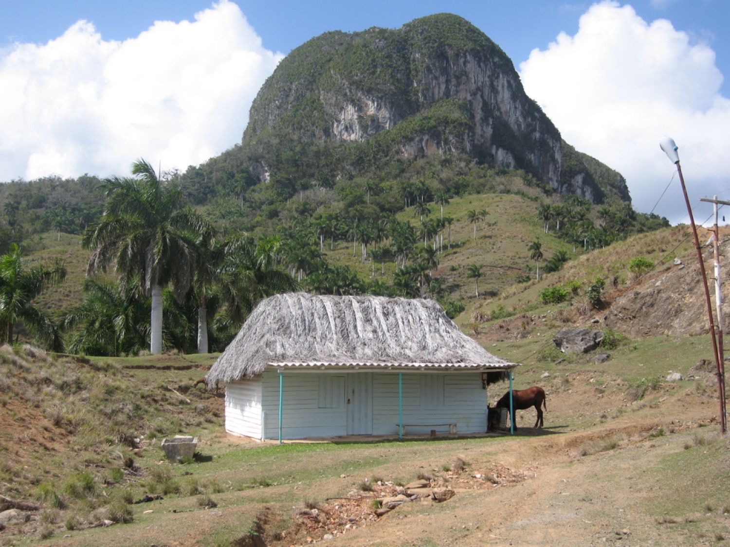 placeholder image-sq