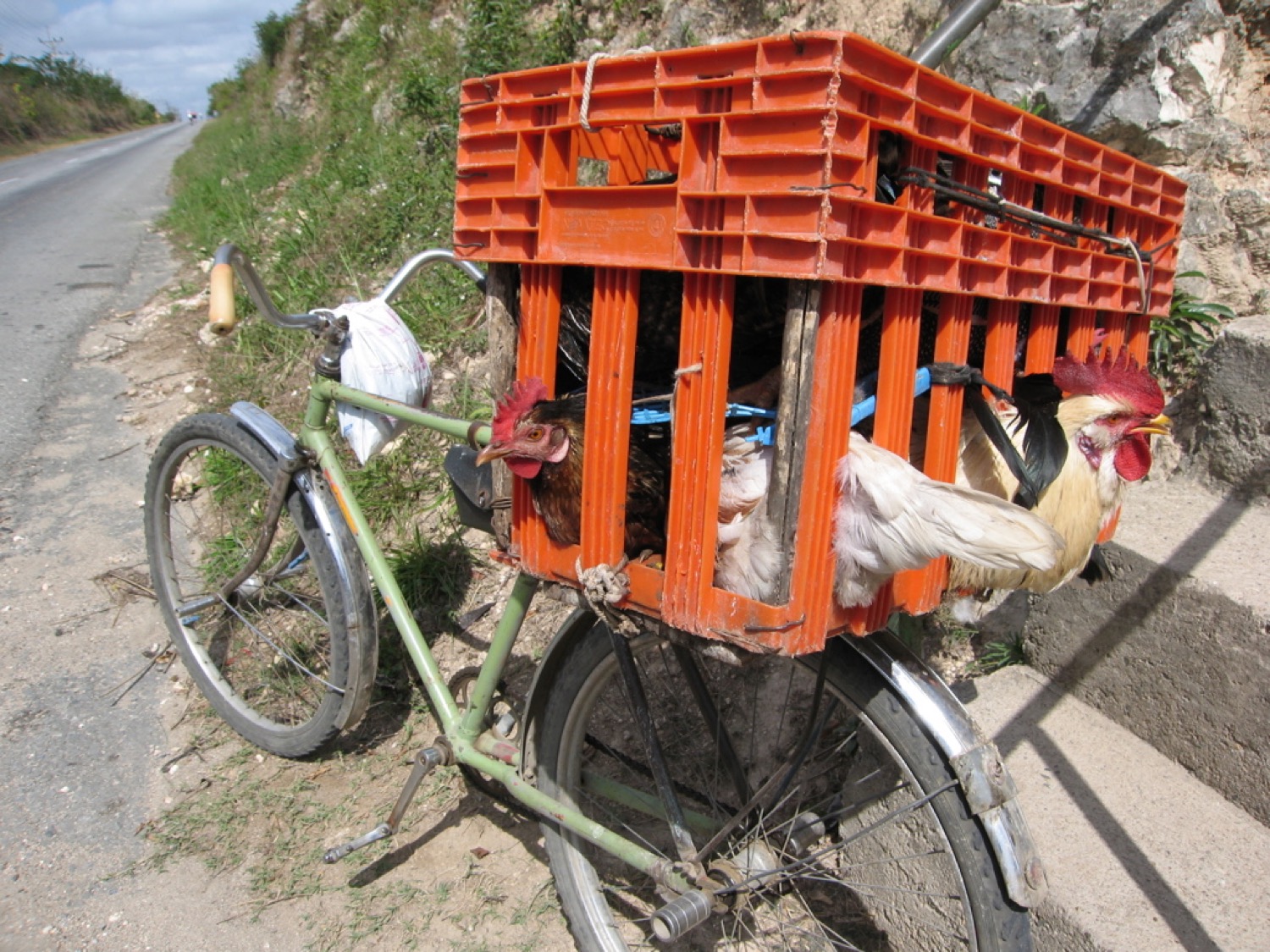 placeholder image-sq