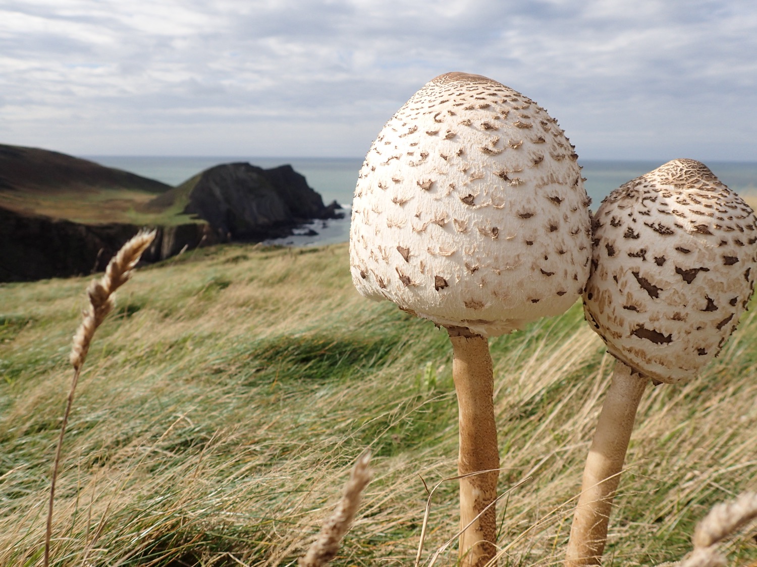 placeholder image-sq