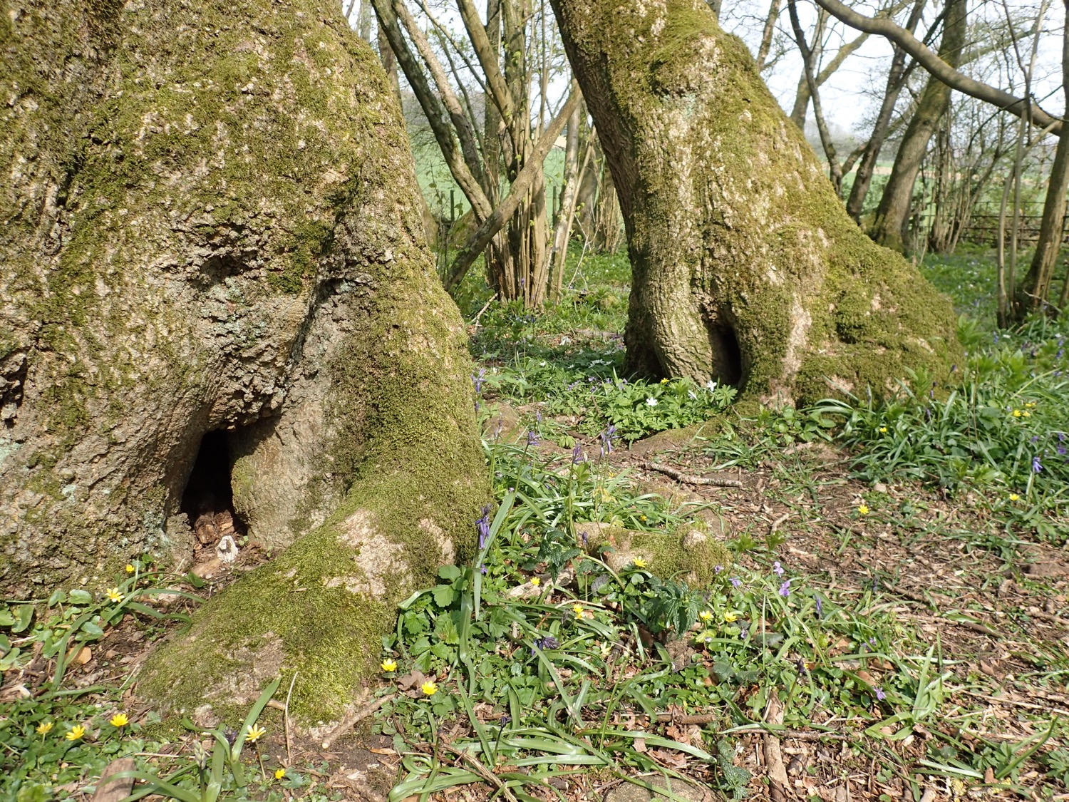 placeholder image-sq