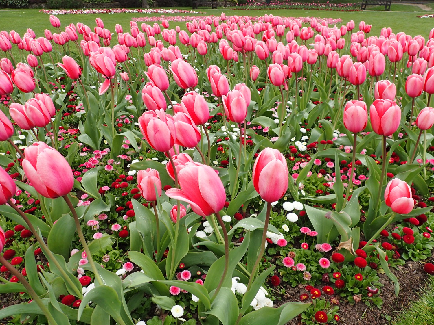 placeholder image-sq