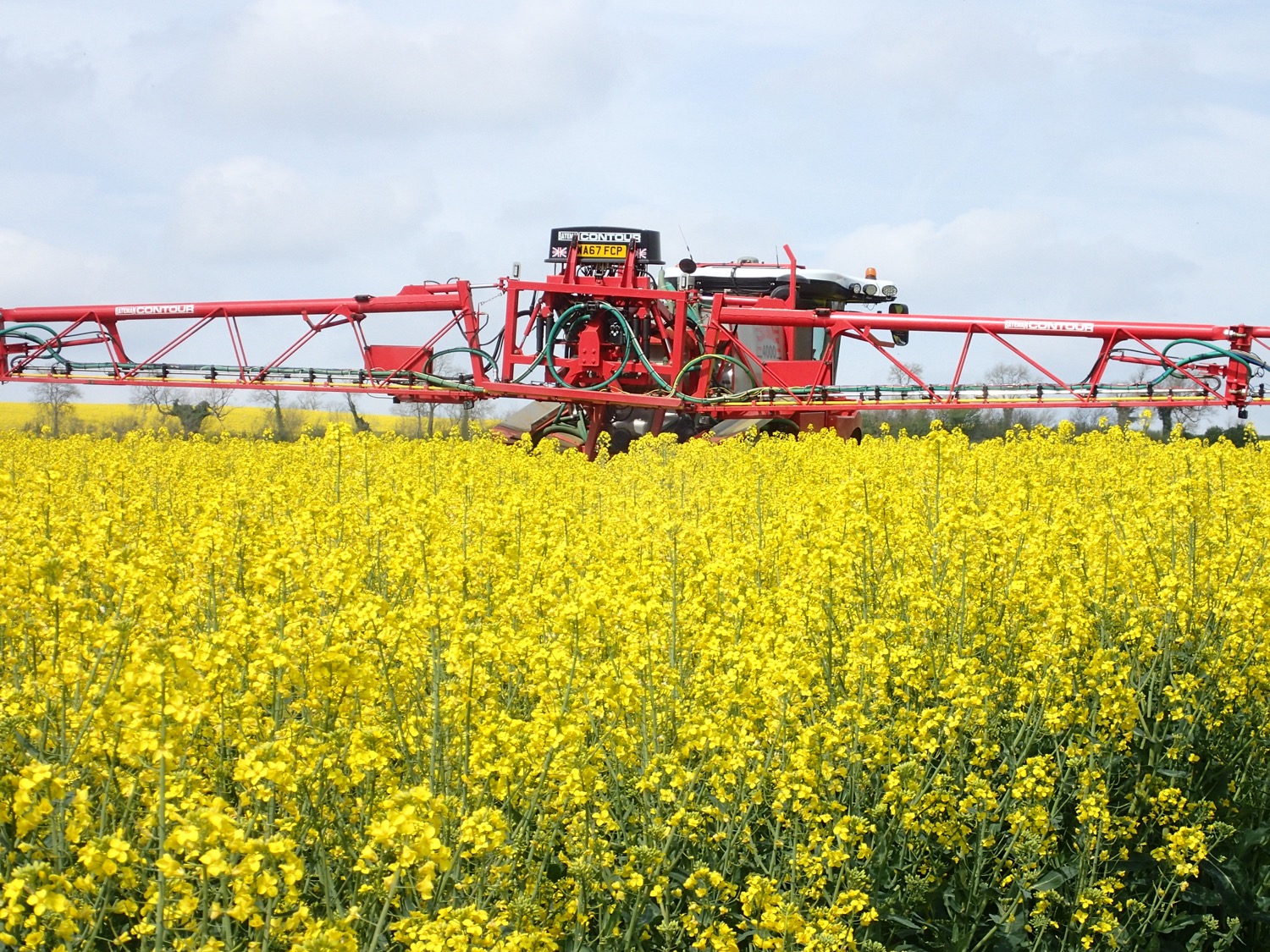 placeholder image-sq