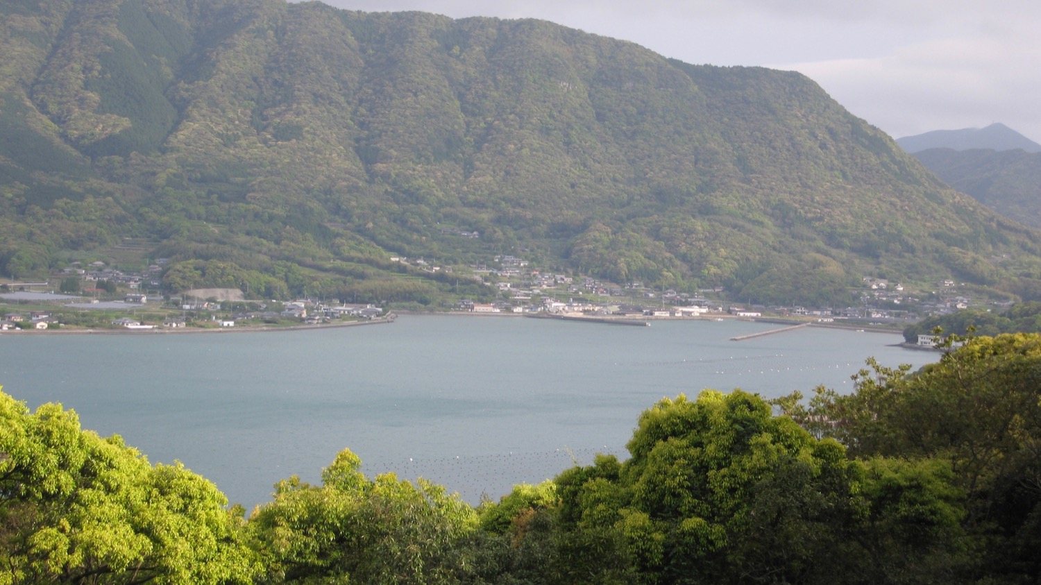 placeholder image-sq