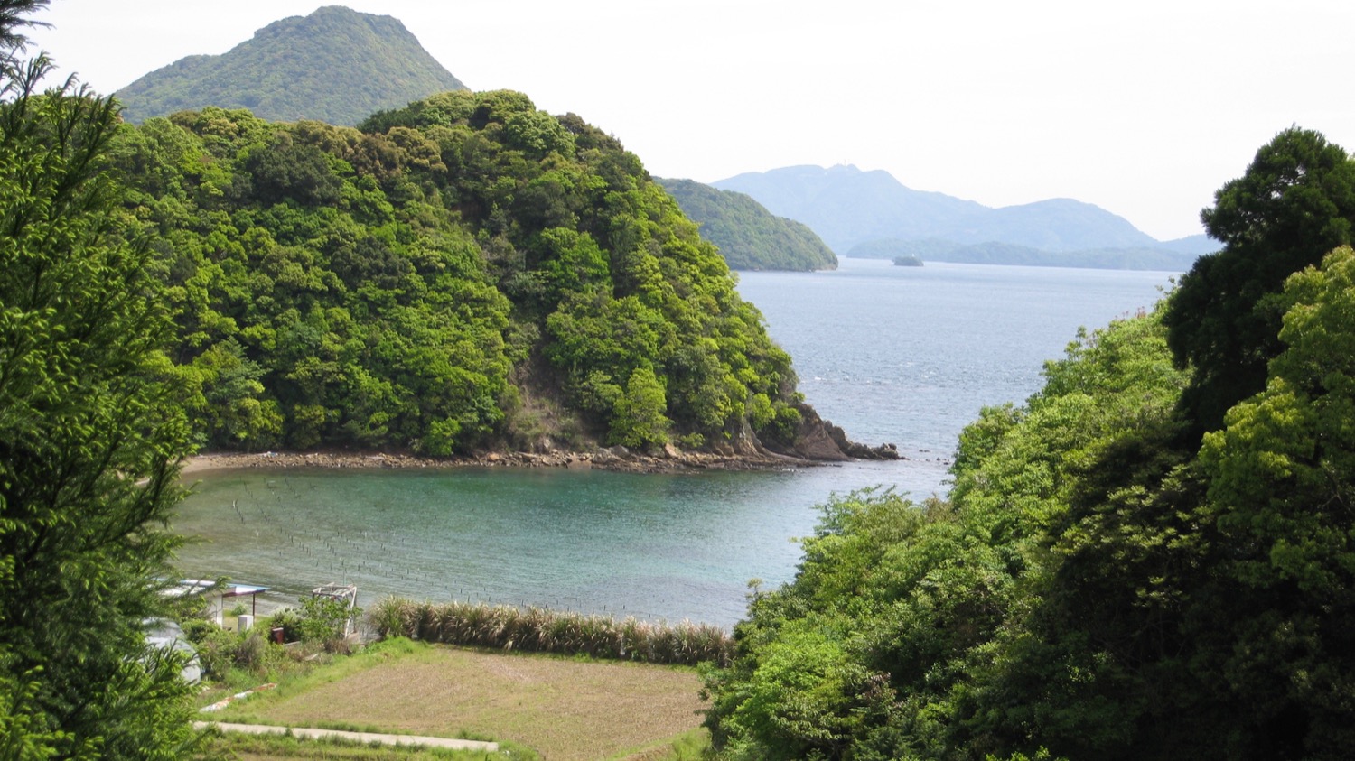 placeholder image-sq