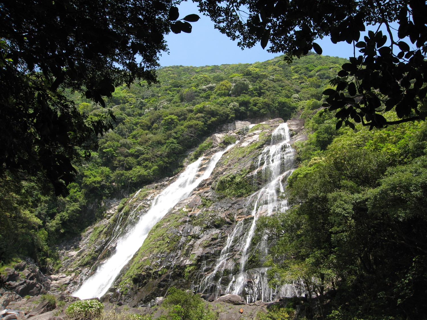 placeholder image-sq