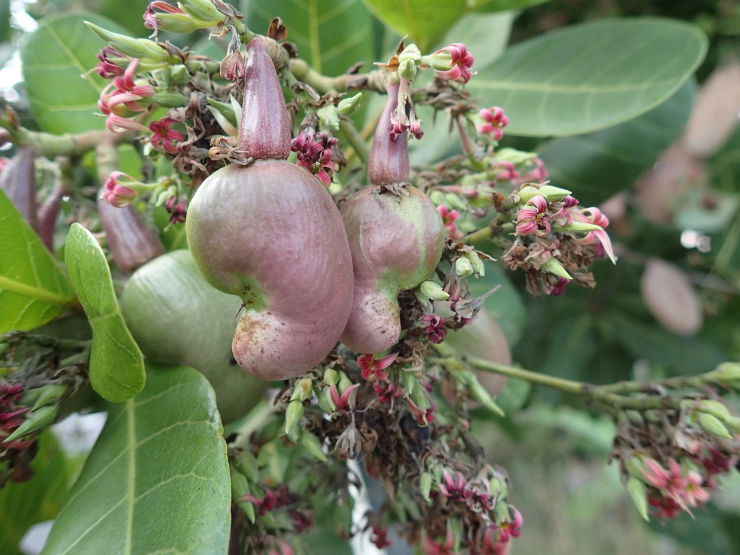 placeholder image-sq