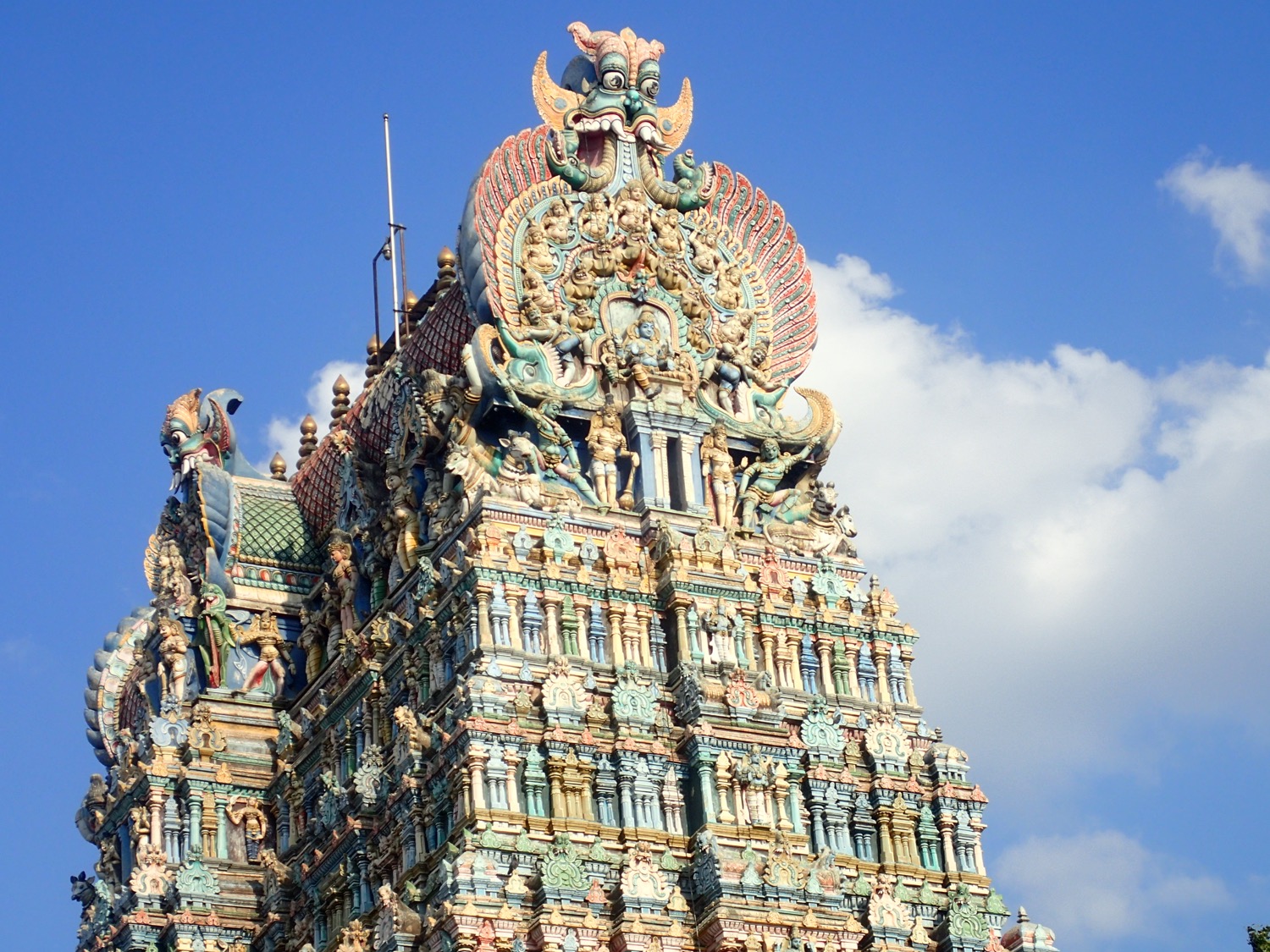 placeholder image-sq